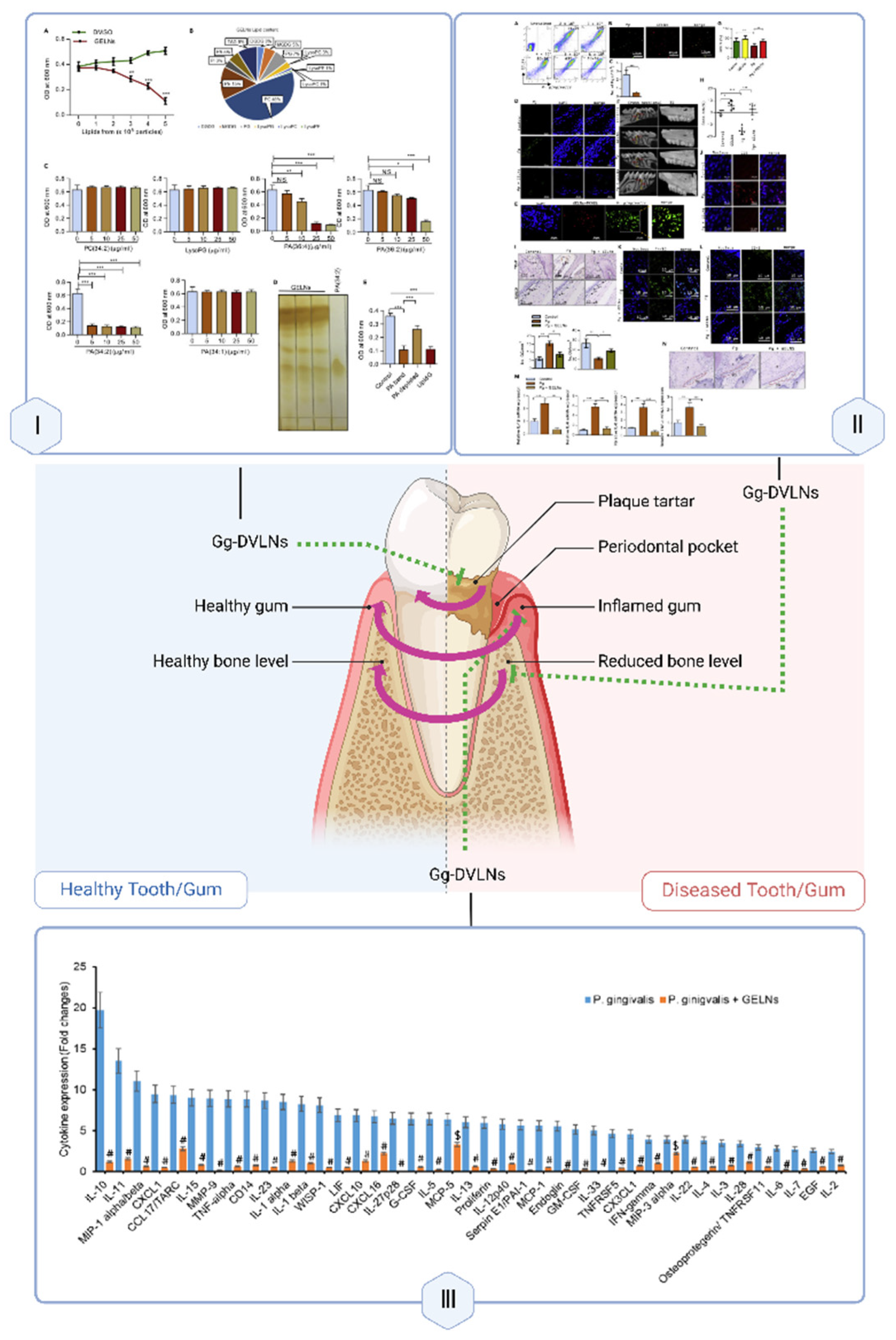 Preprints 163353 g007