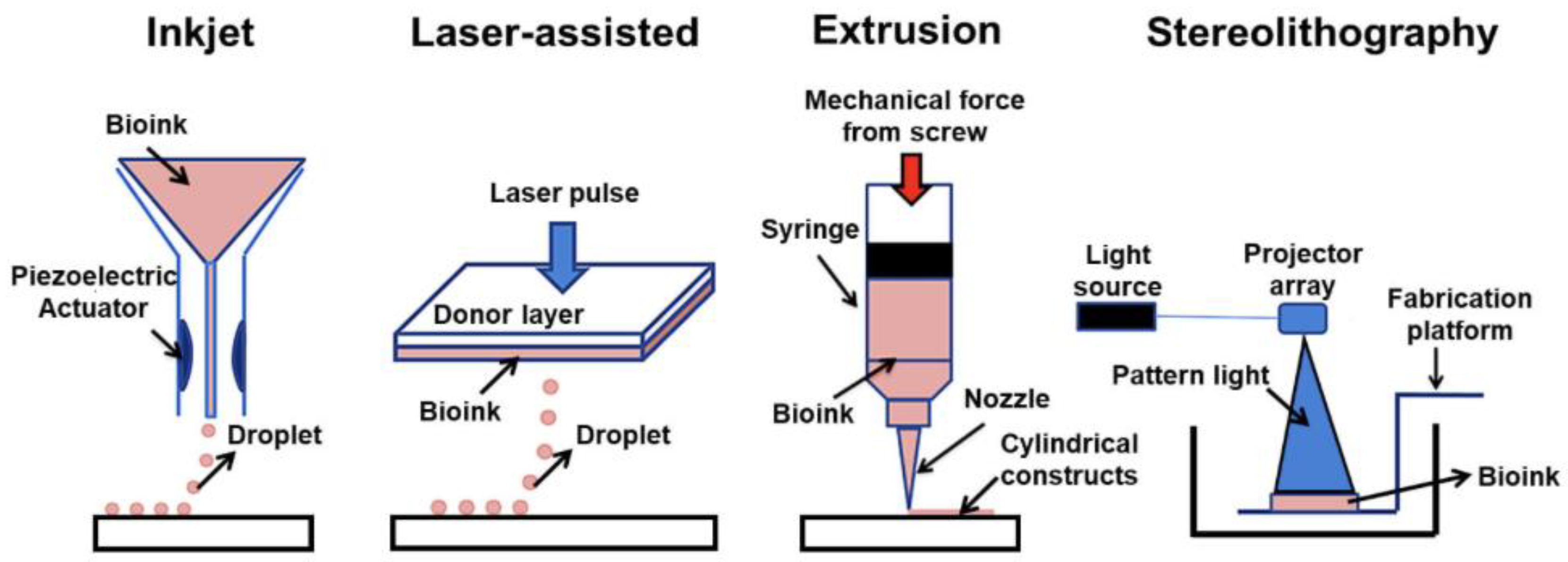 Preprints 199038 g001