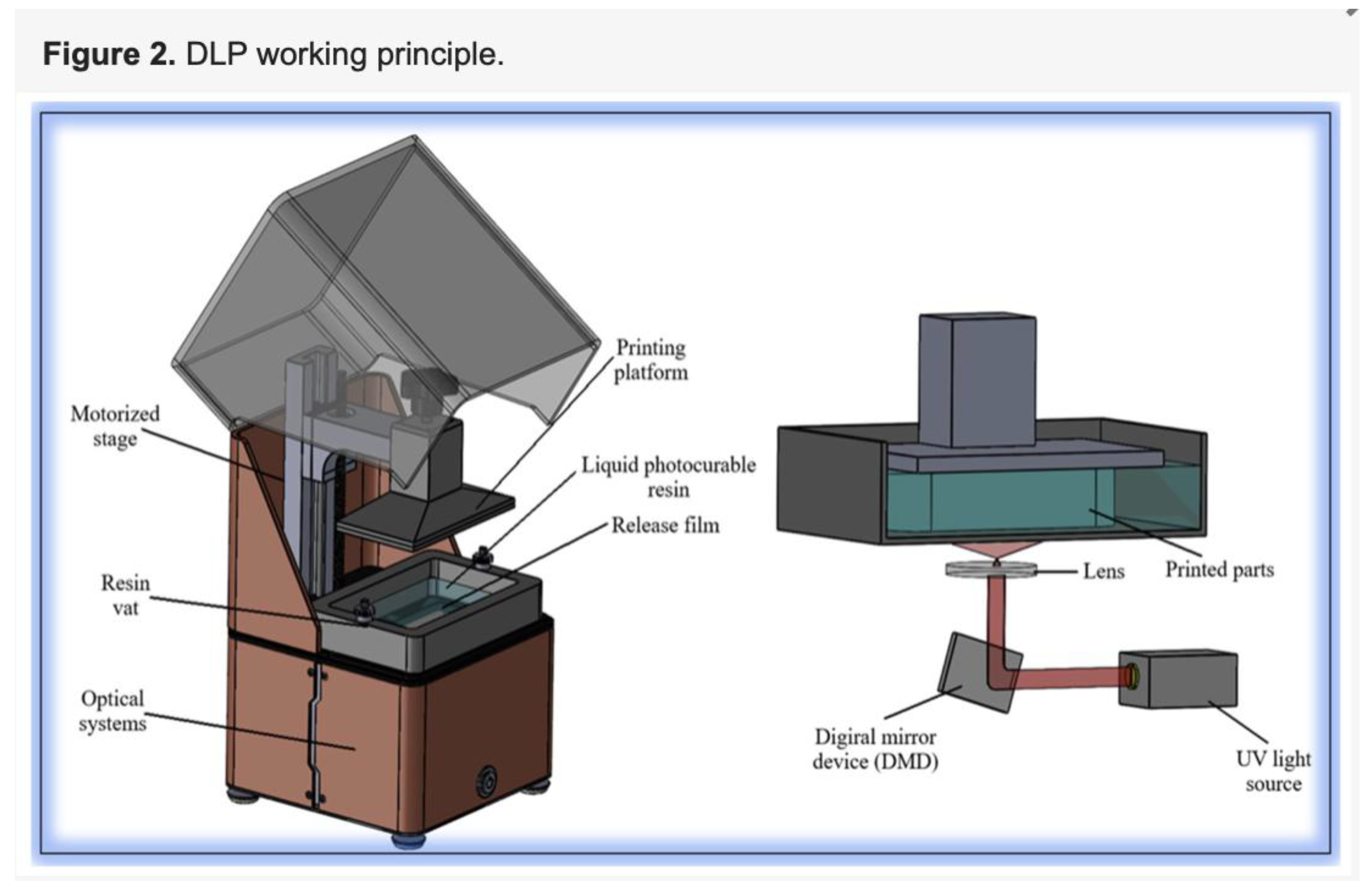 Preprints 199038 g002