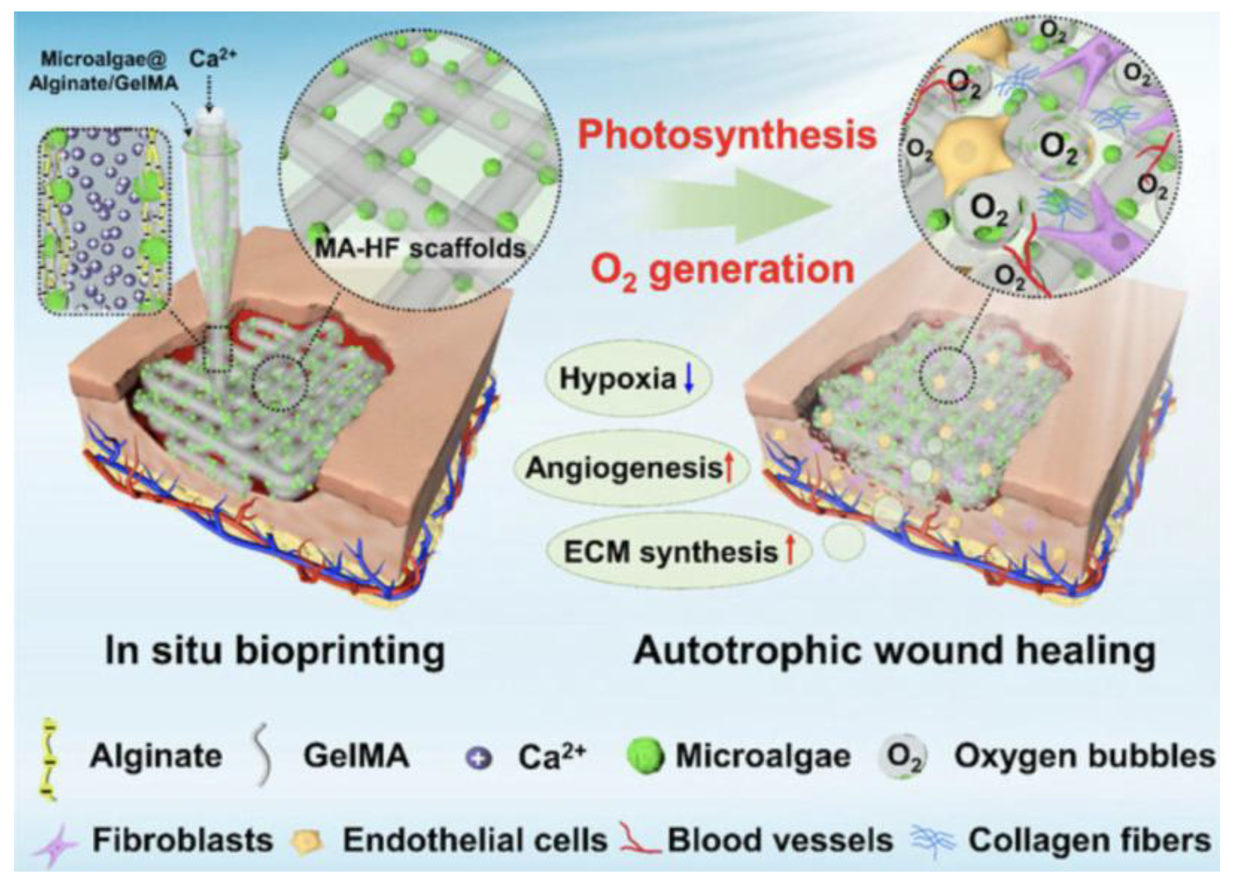 Preprints 199038 g003