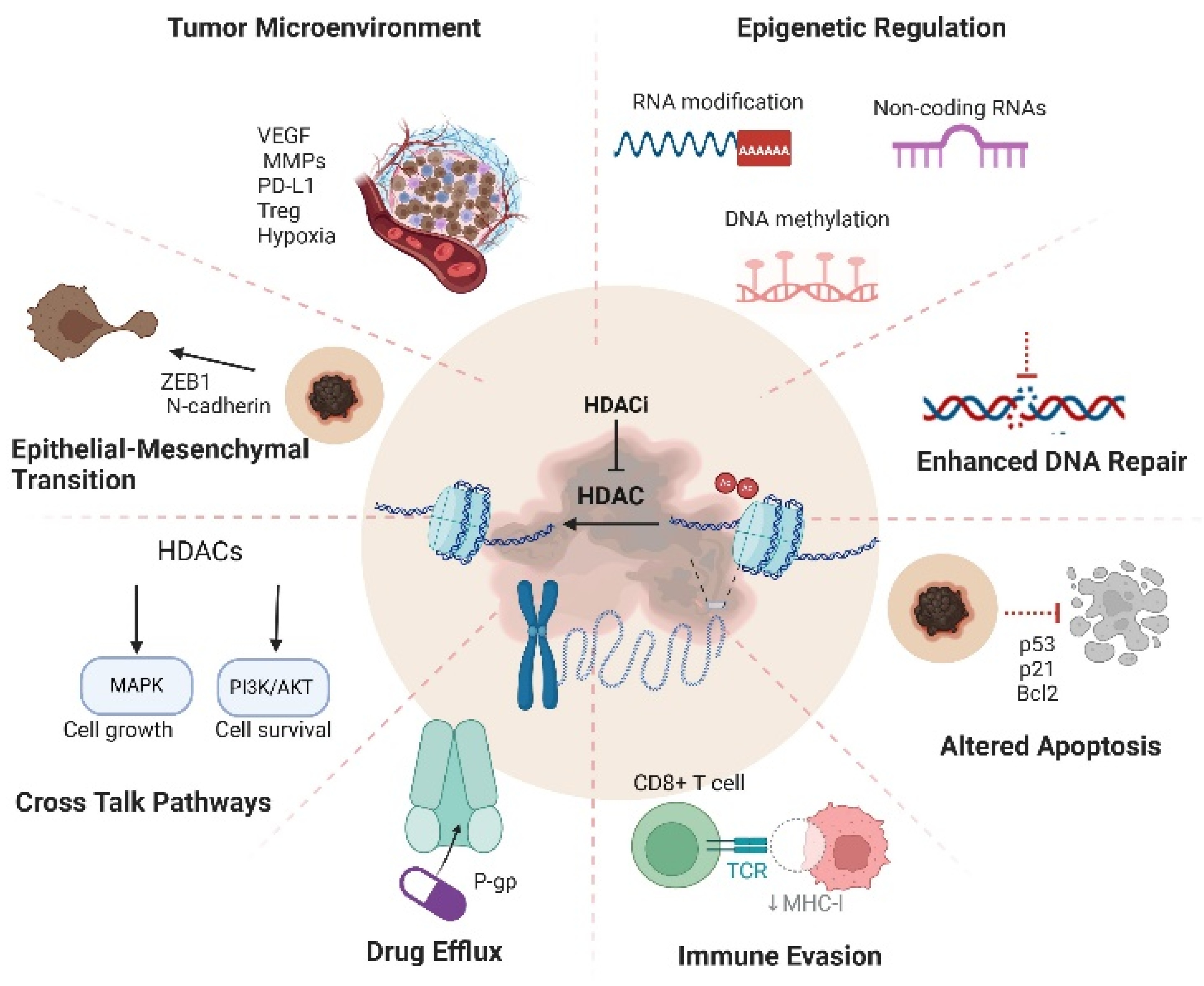Preprints 155140 g001