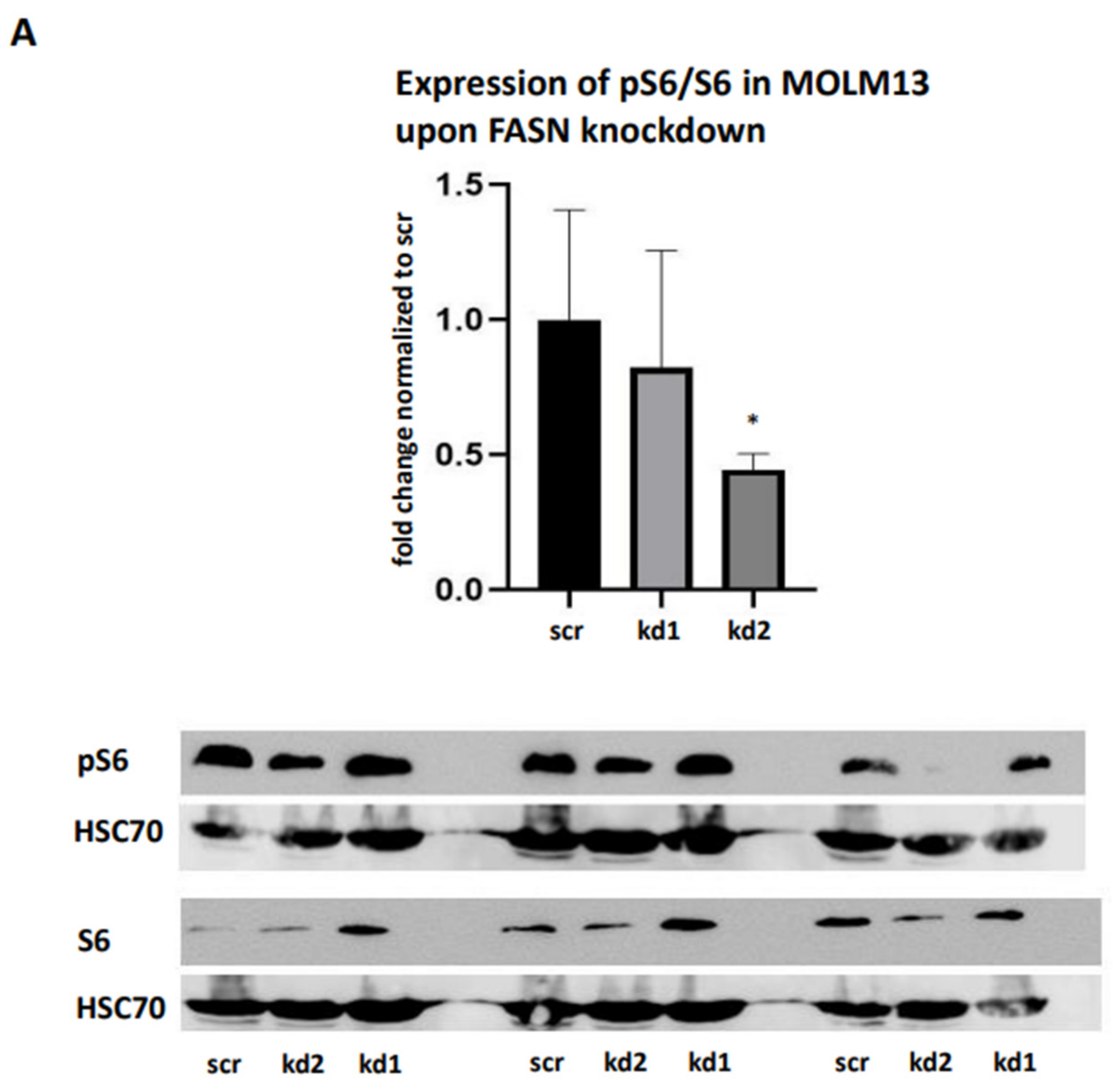 Preprints 157754 g004a