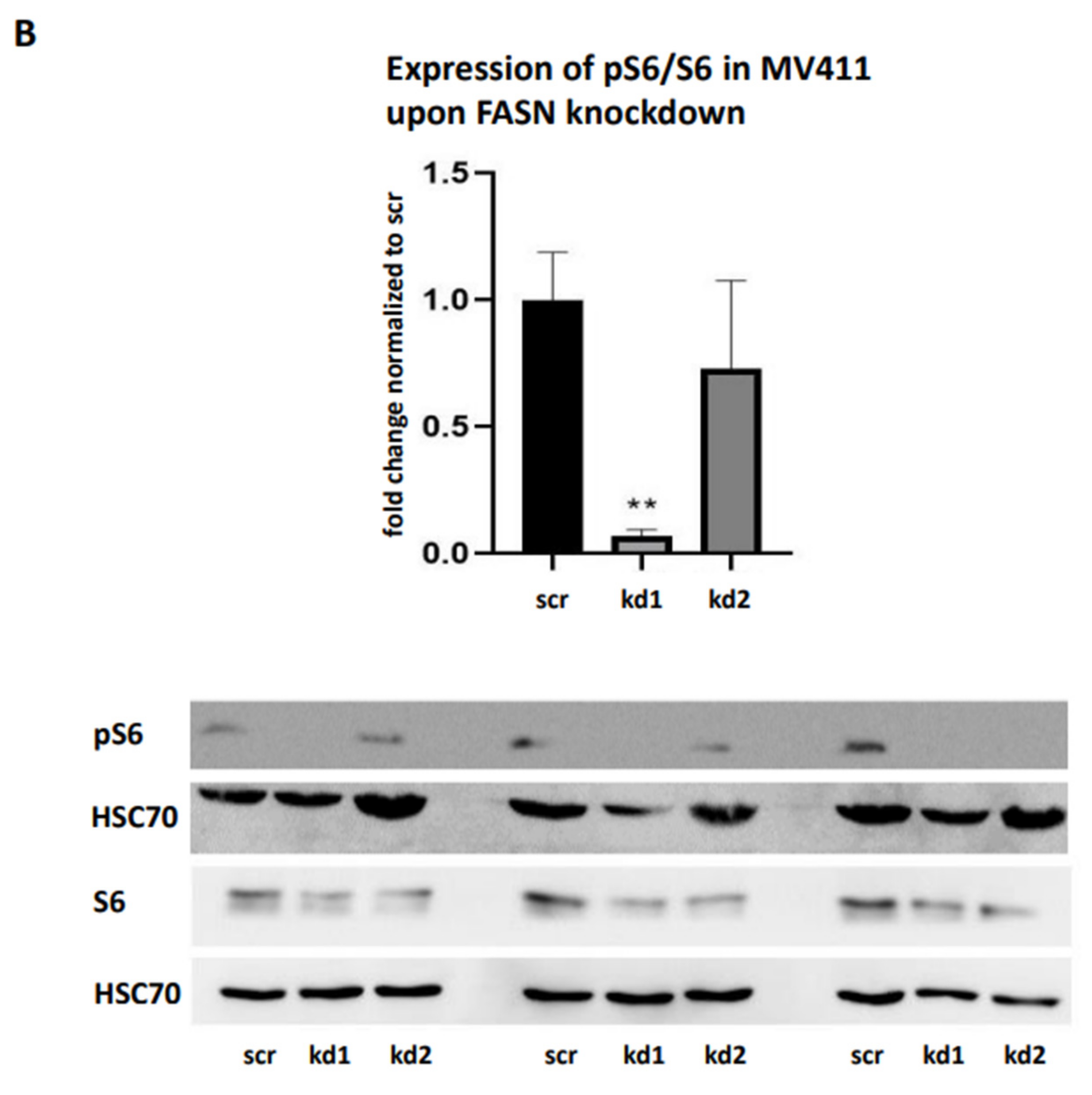 Preprints 157754 g004b