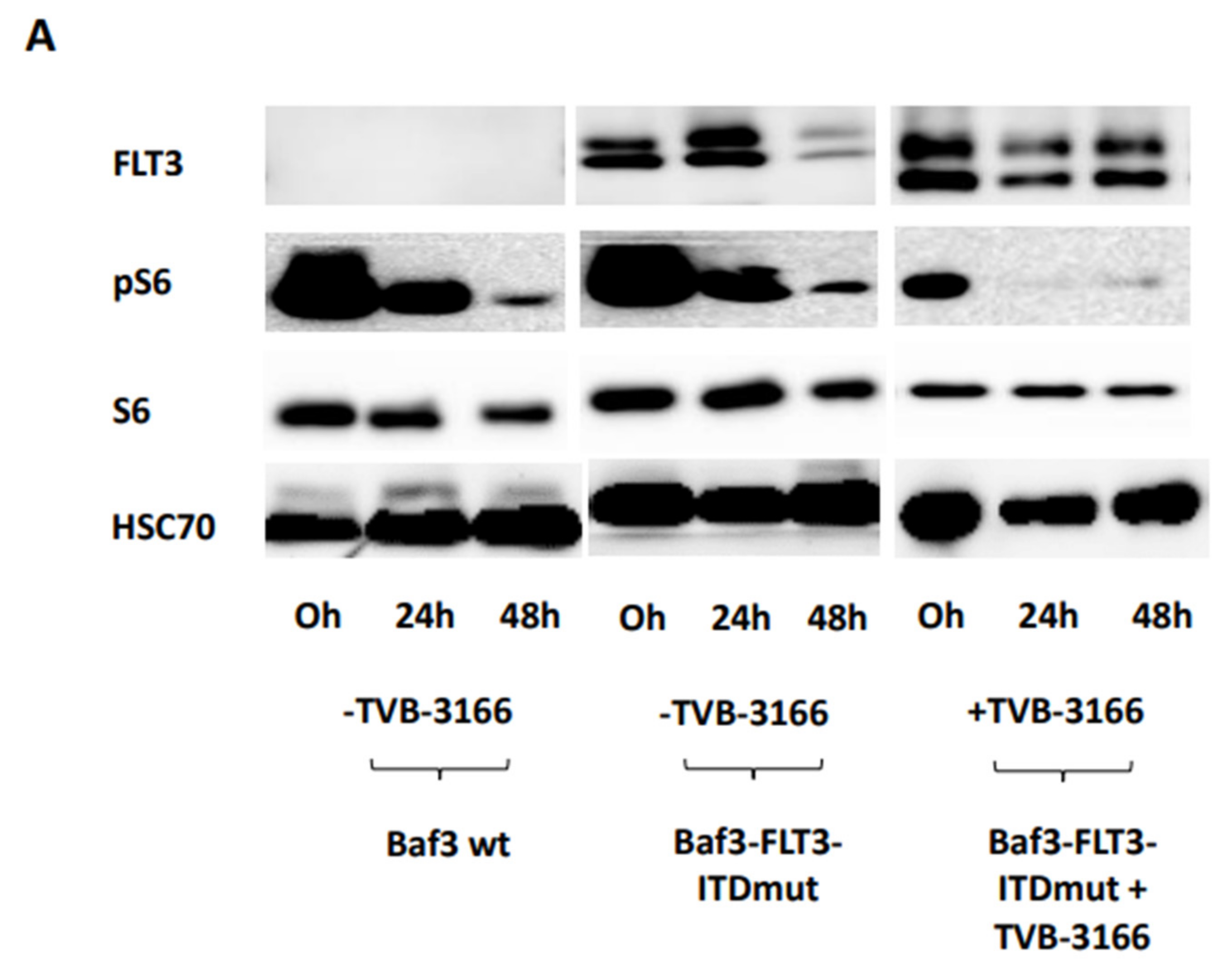 Preprints 157754 g005a