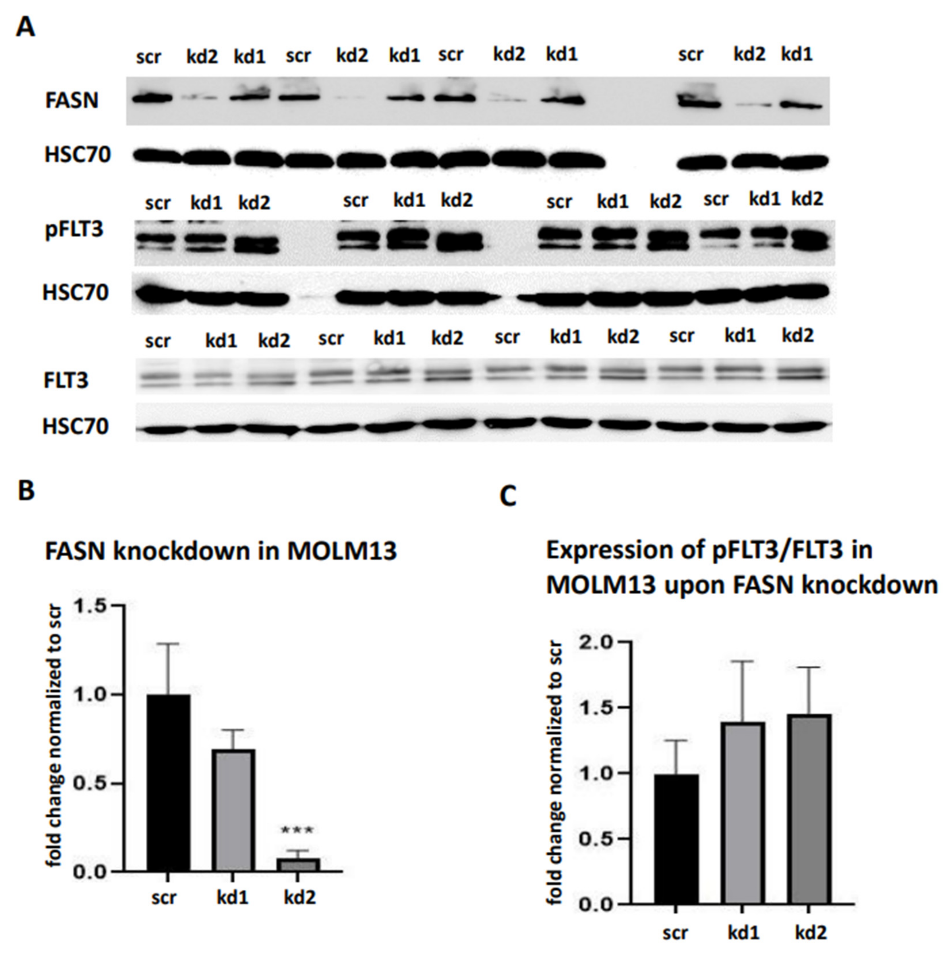 Preprints 157754 g007