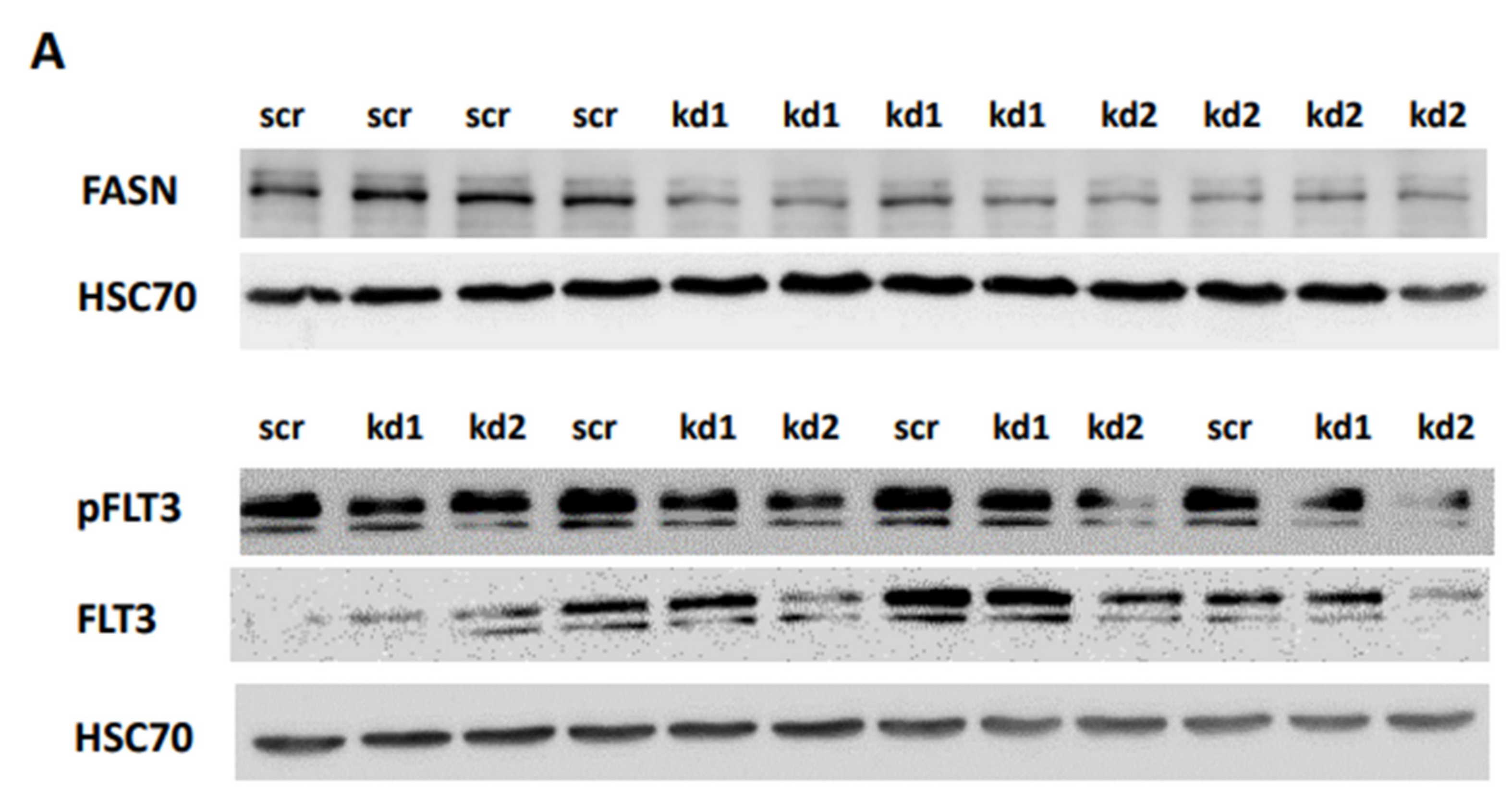 Preprints 157754 g008a