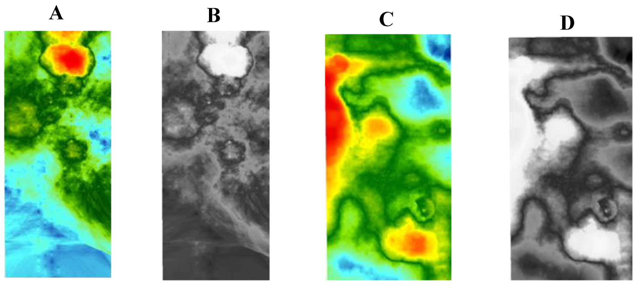 Preprints 169407 g005