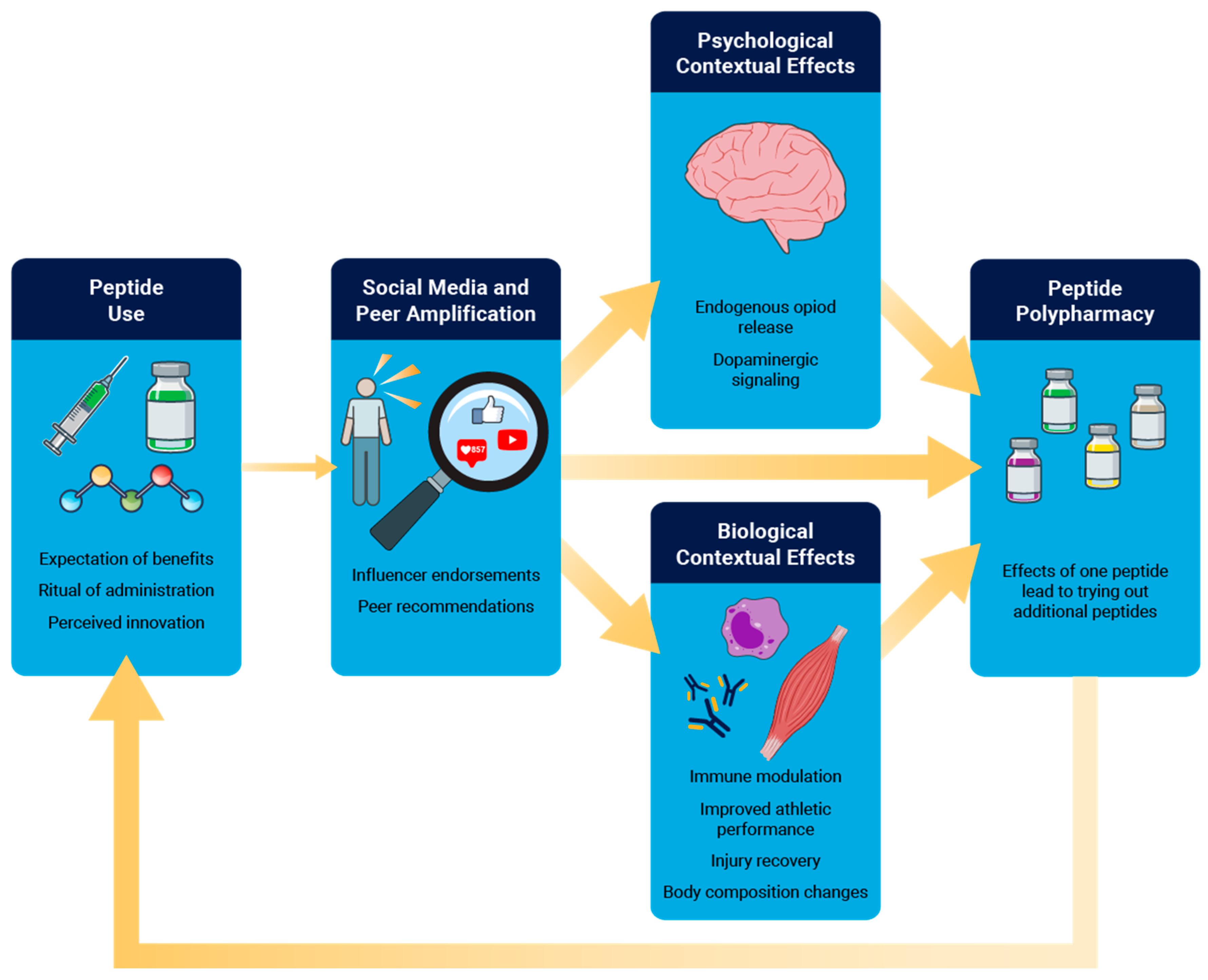Preprints 189042 g002