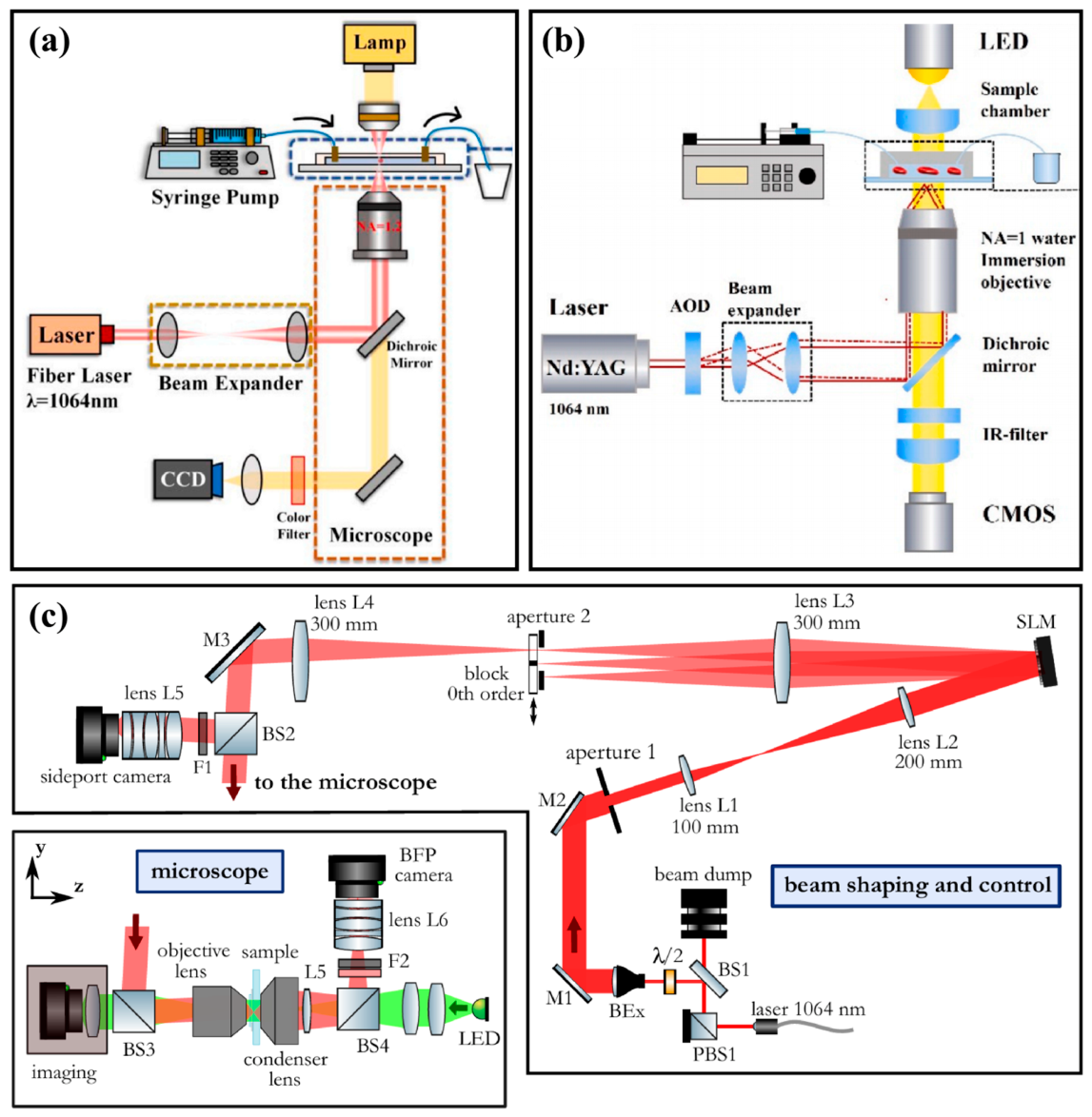 Preprints 216994 g002