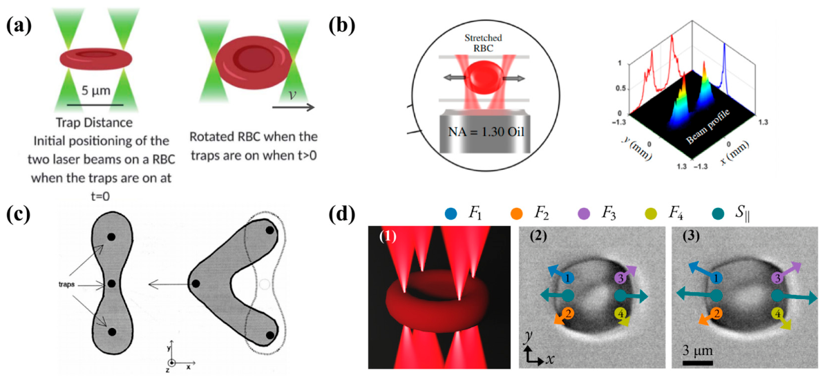 Preprints 216994 g004