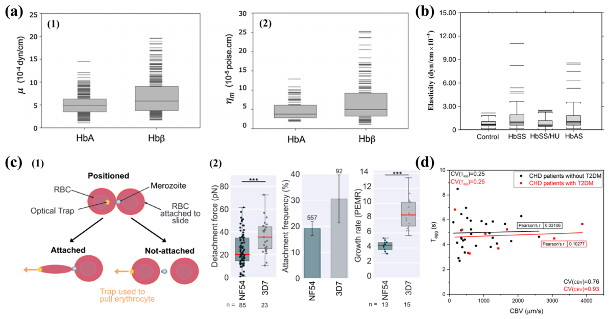 Preprints 216994 g009