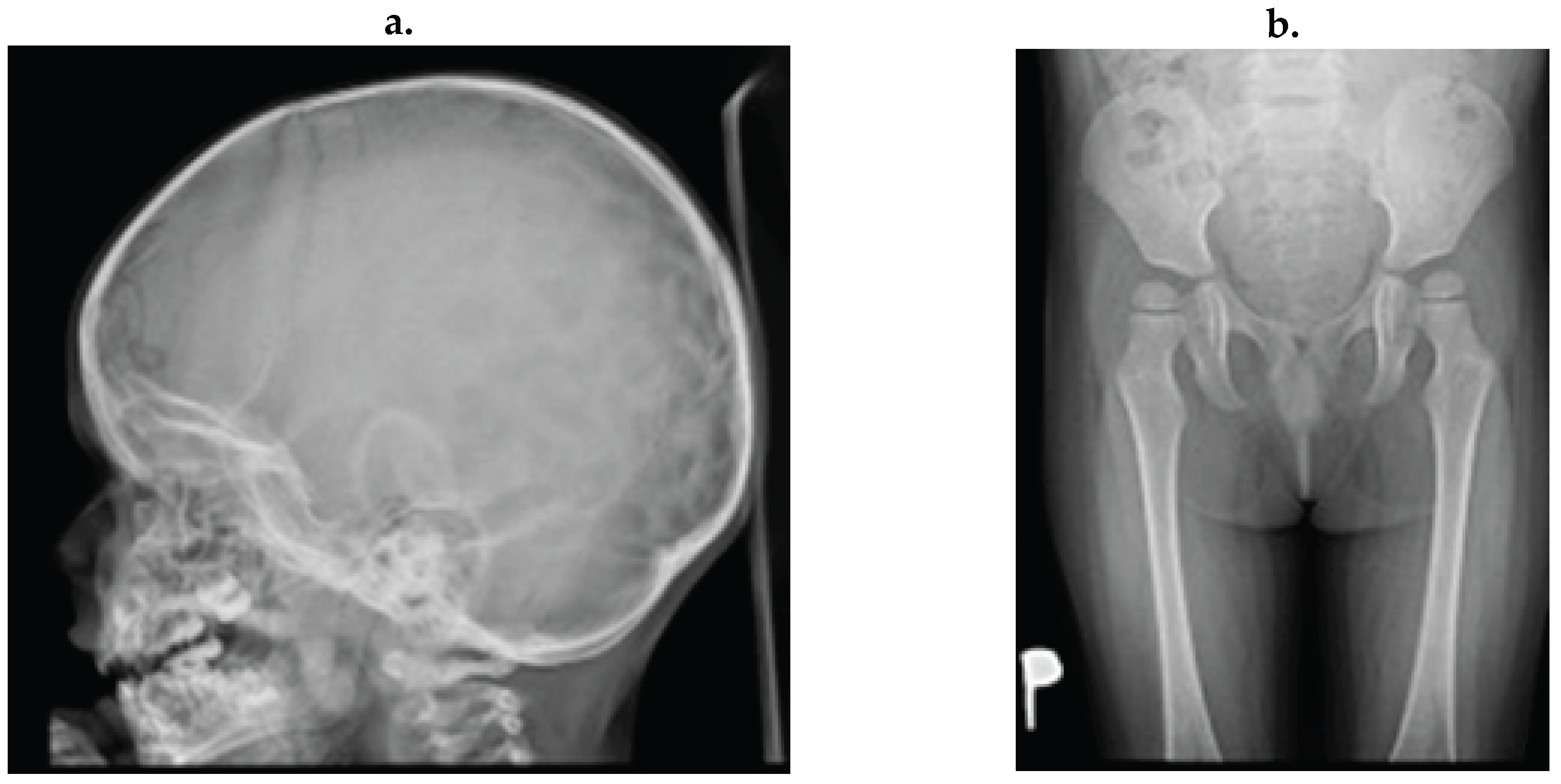 Preprints 199594 g001