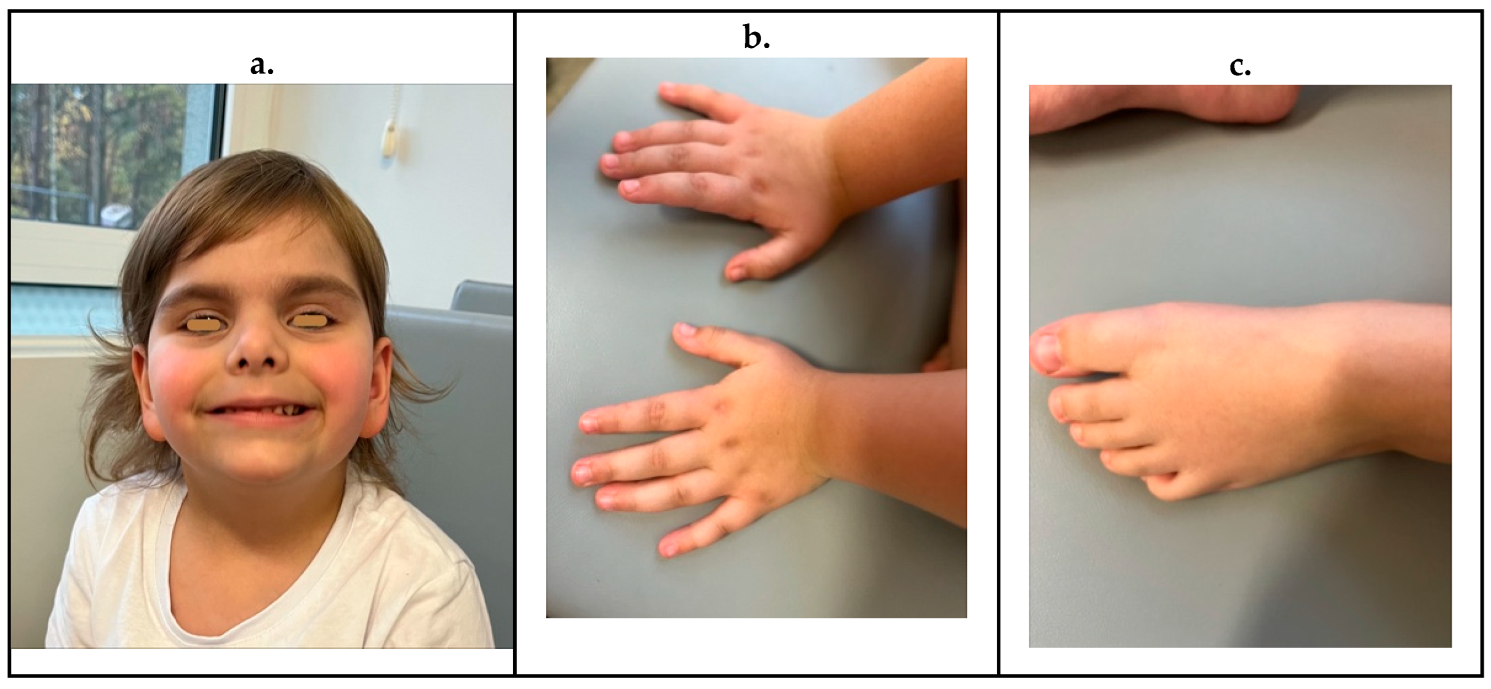 Preprints 199594 g002