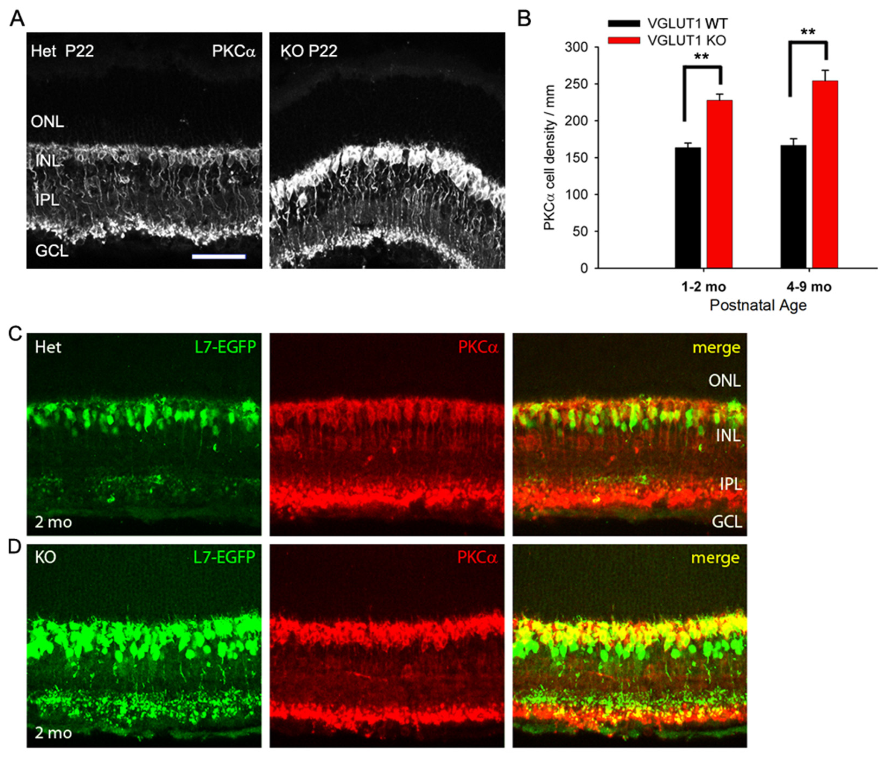 Preprints 171692 g005