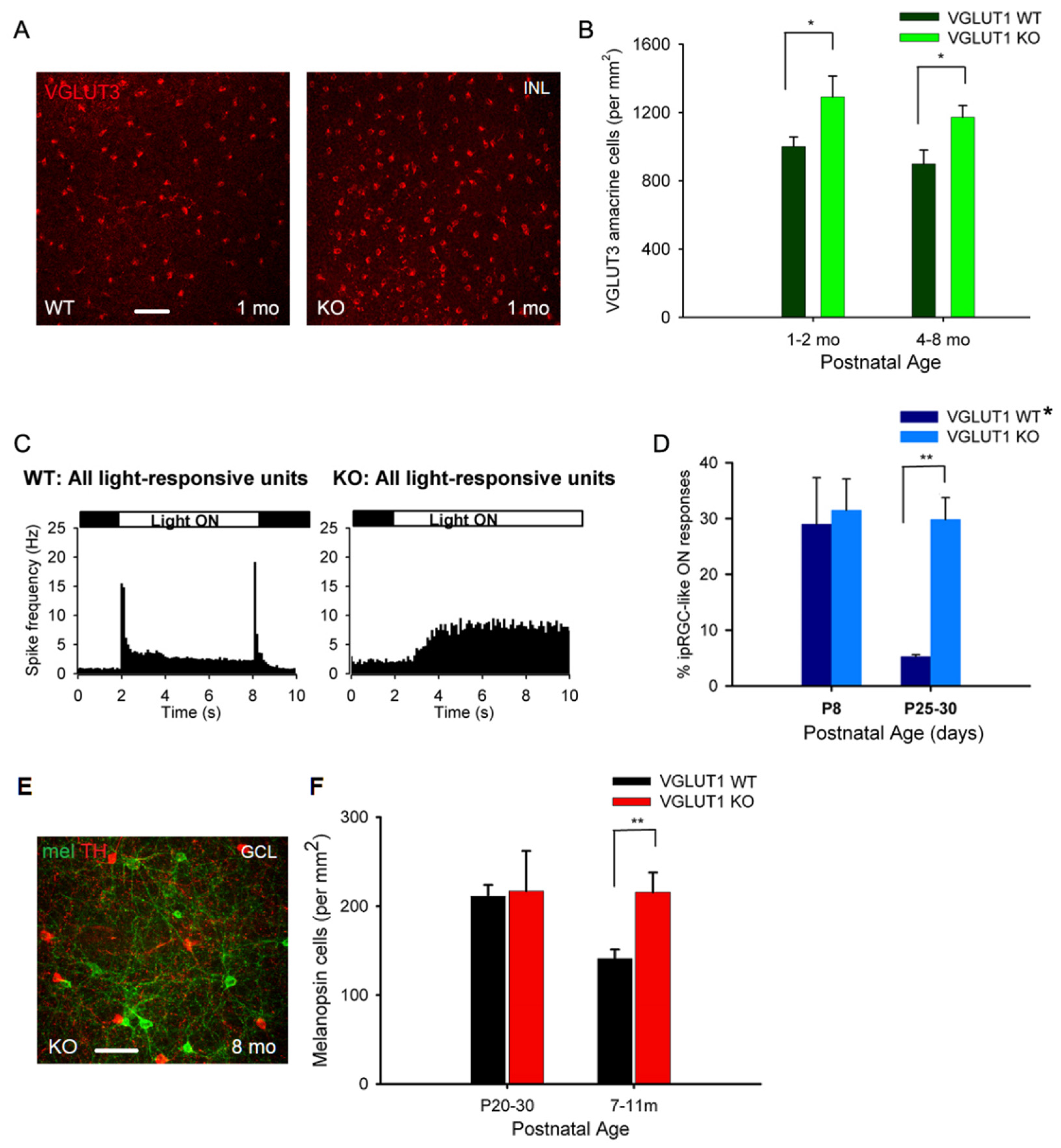 Preprints 171692 g006