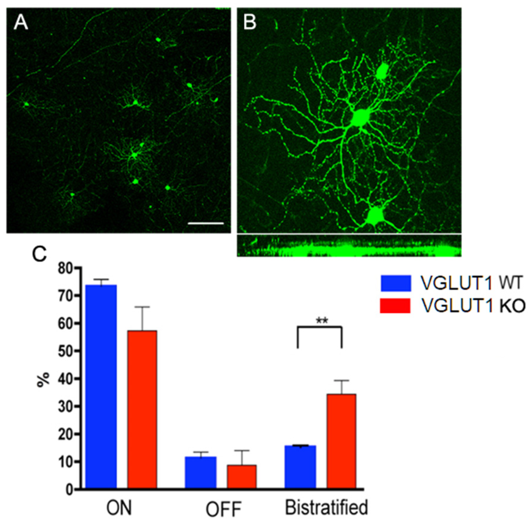 Preprints 171692 g007
