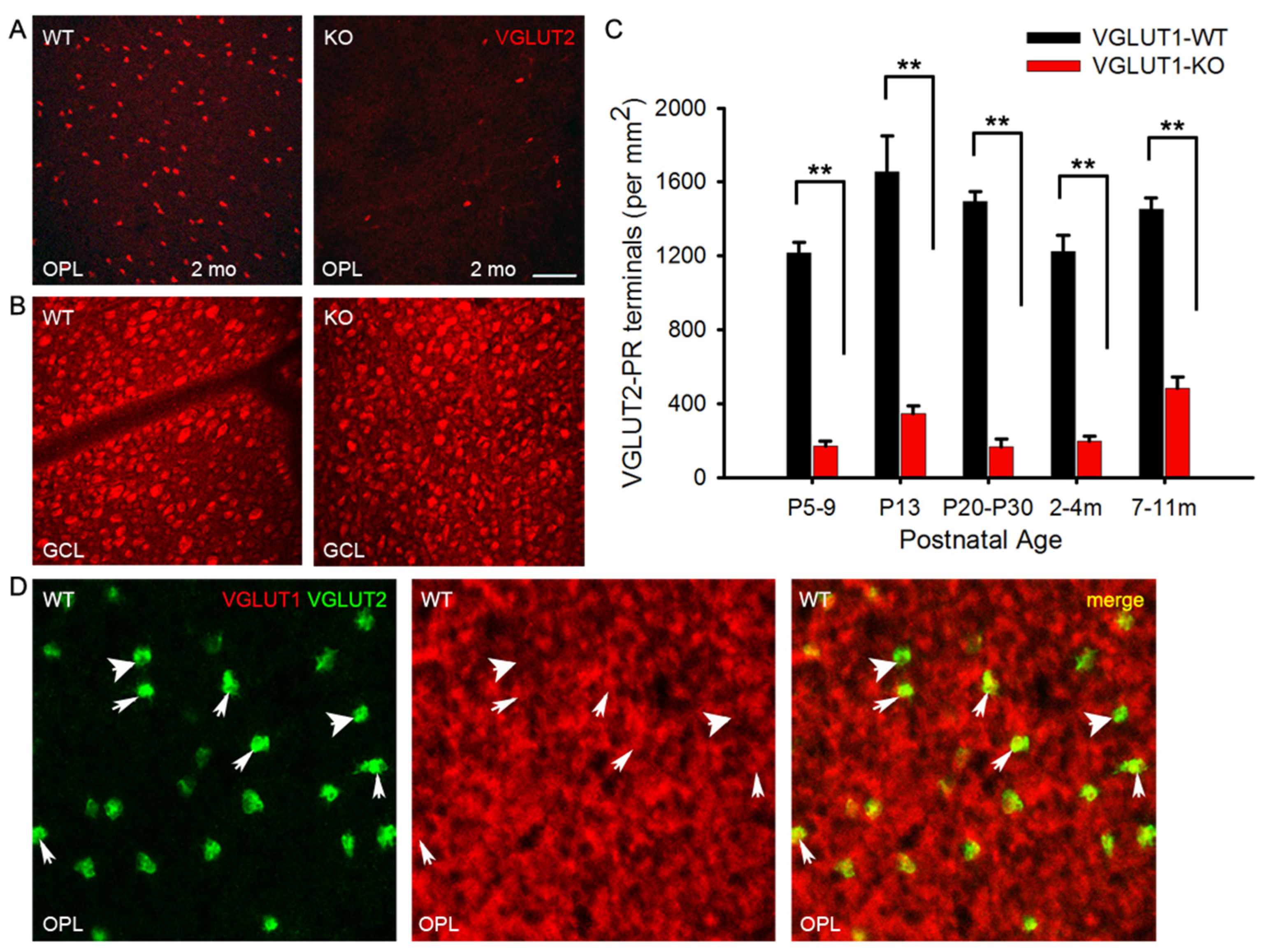Preprints 171692 g008