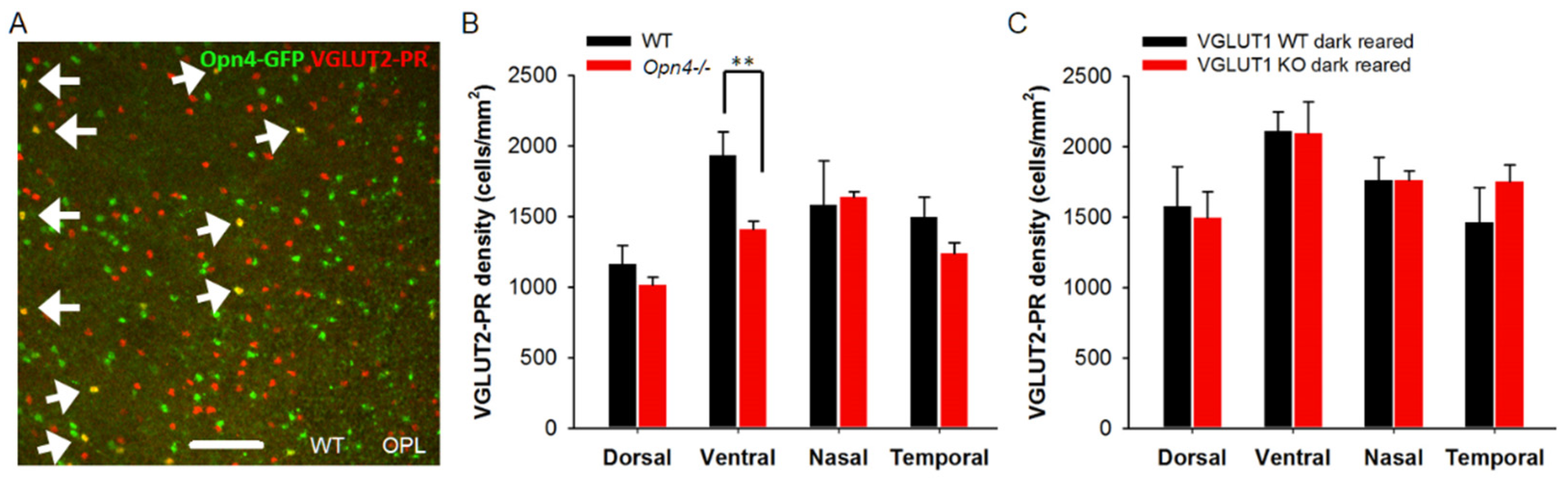Preprints 171692 g011
