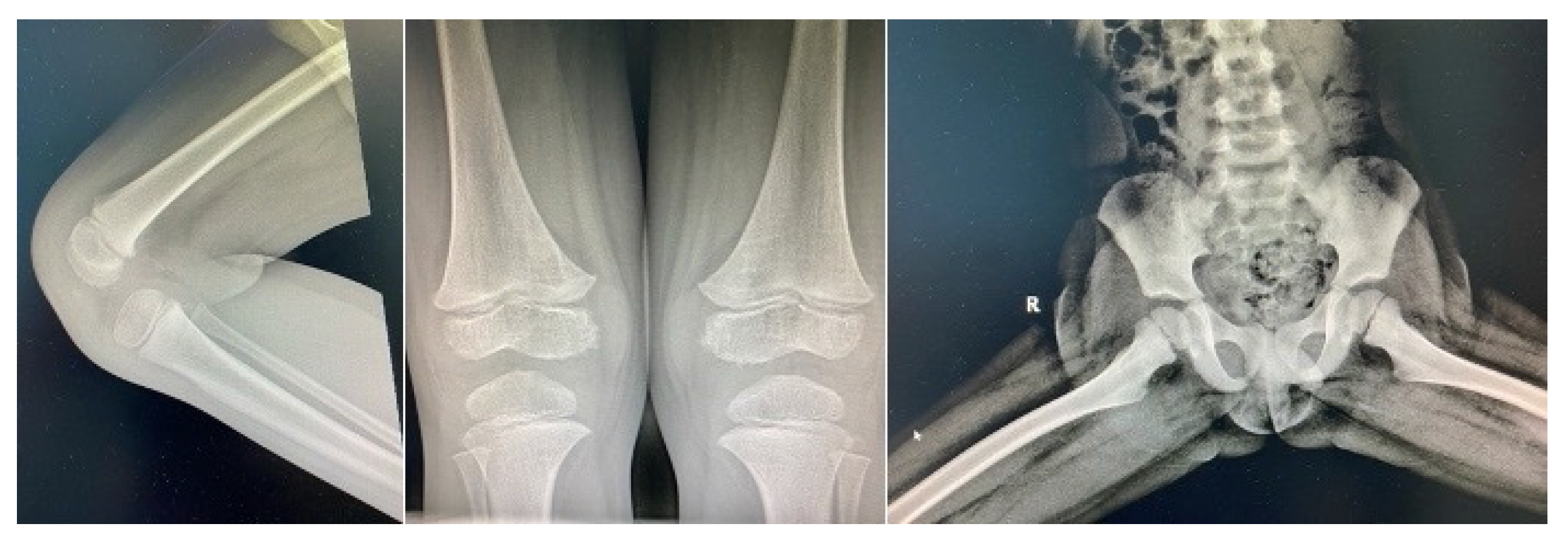 Preprints 138174 g003