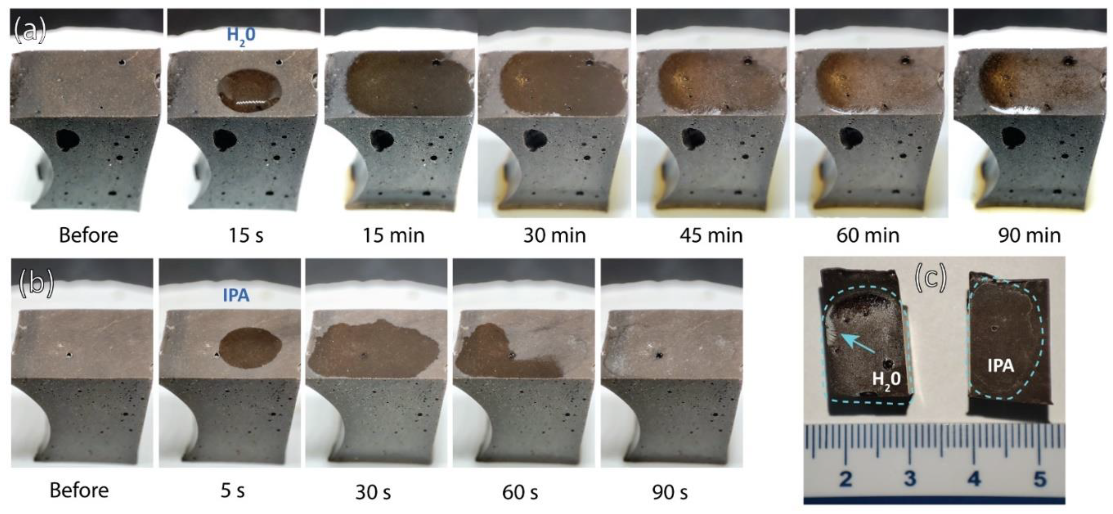 Preprints 120335 g009