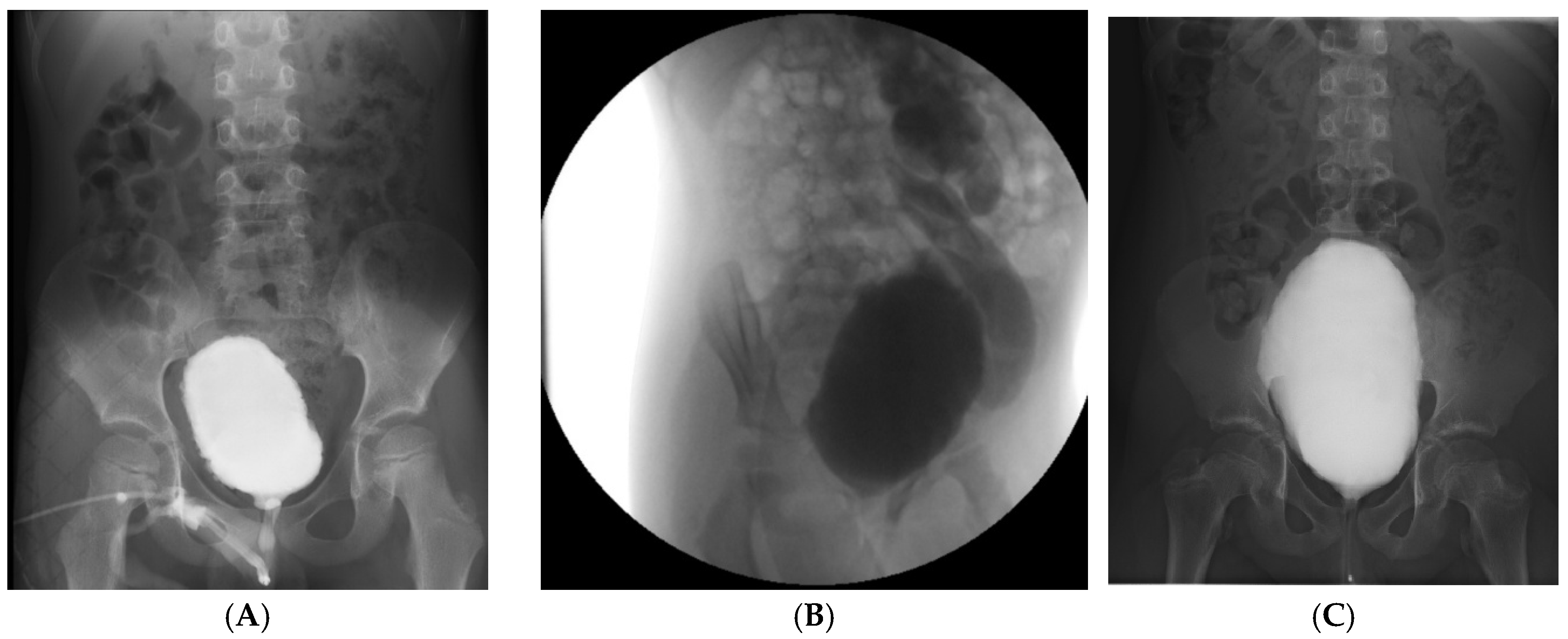 Preprints 180805 g001