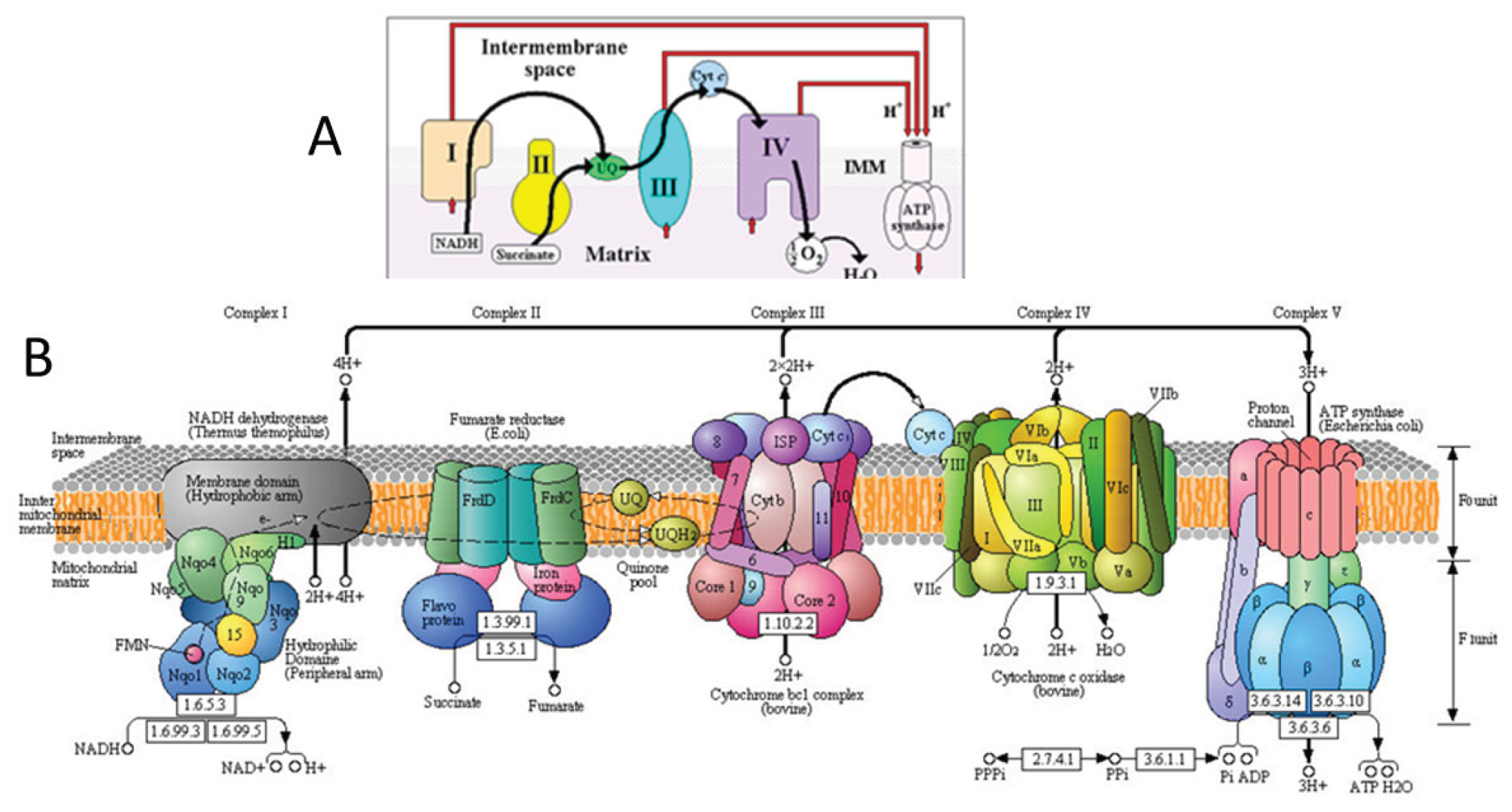 Preprints 194877 g001