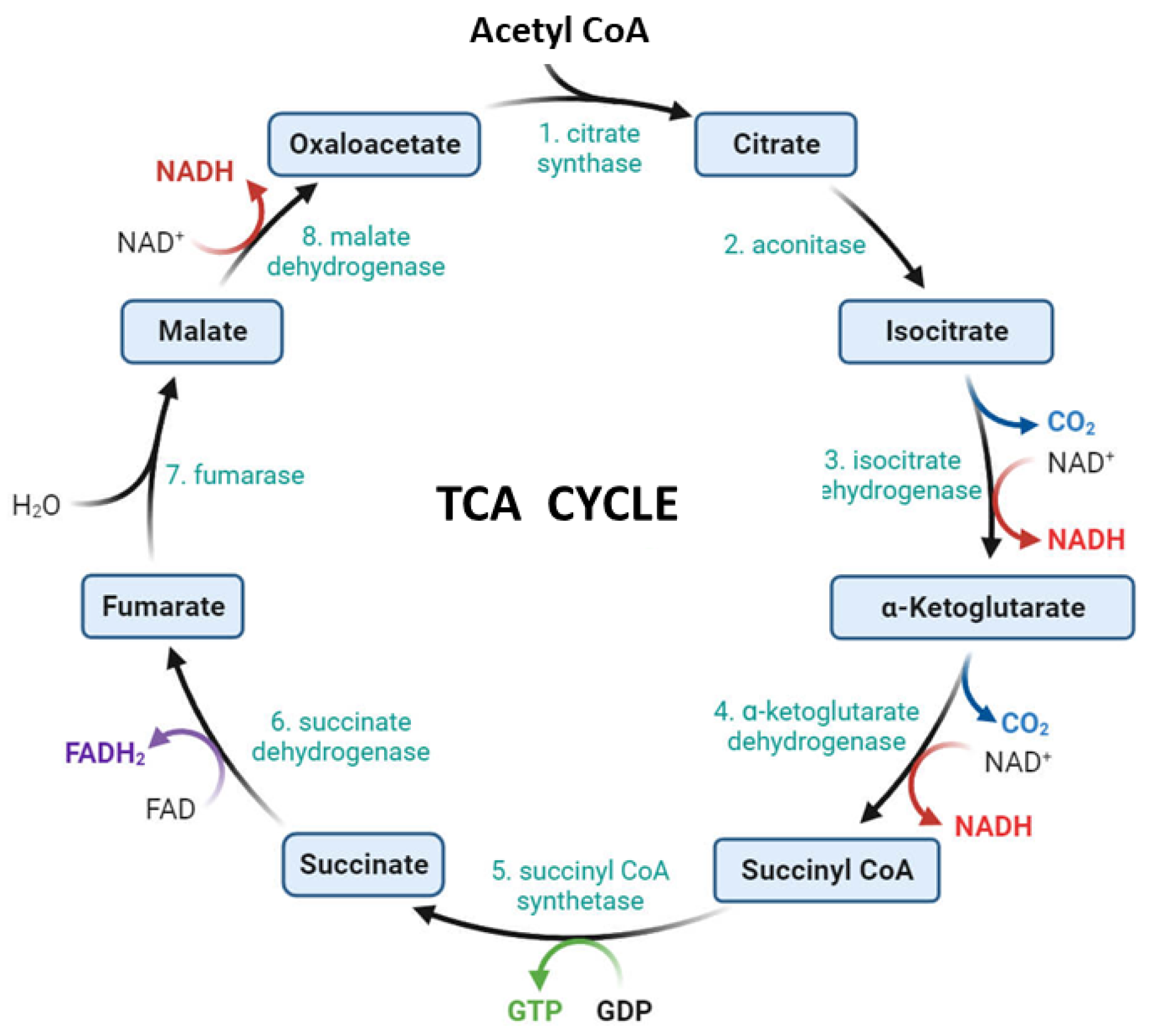 Preprints 194877 g002