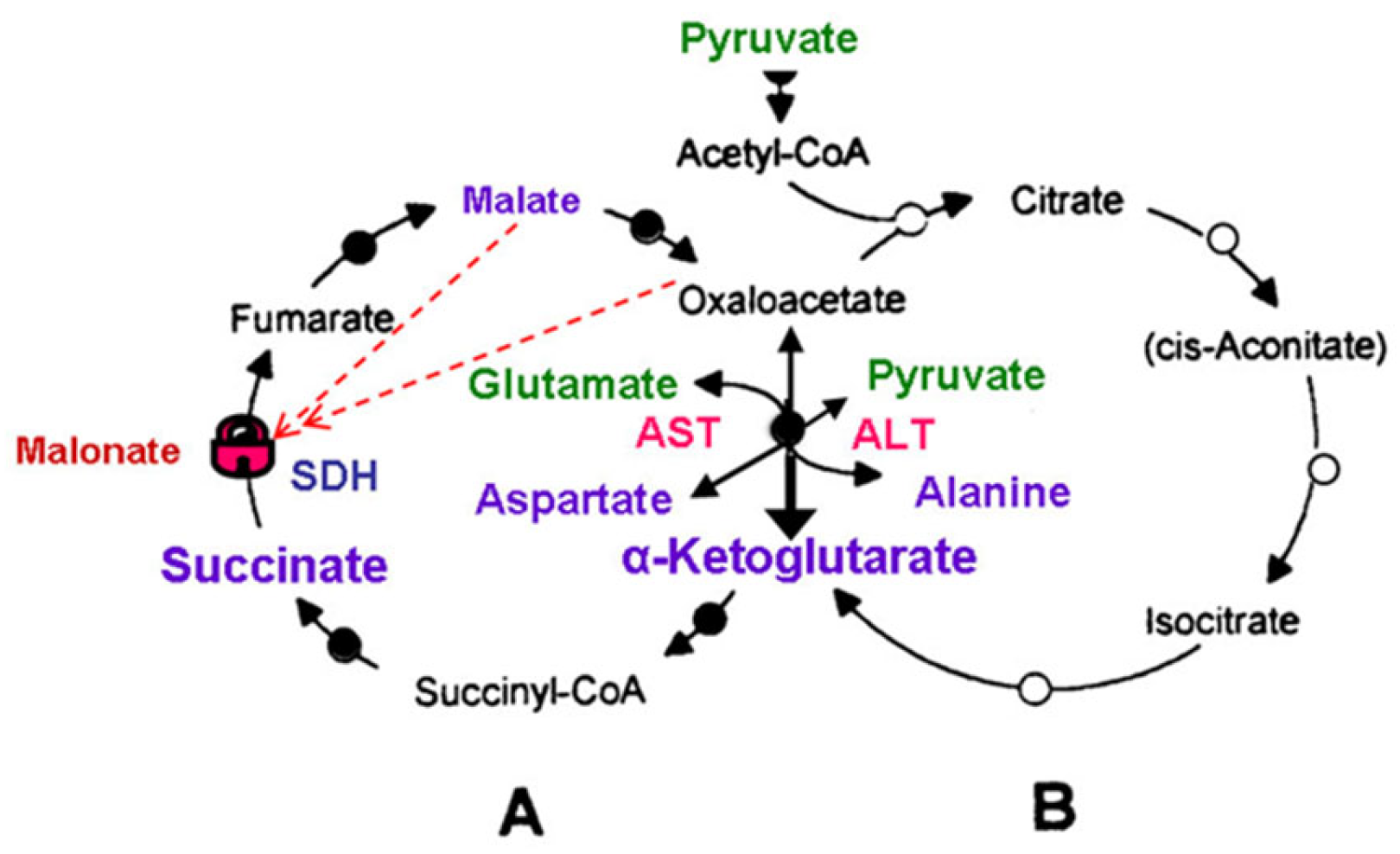 Preprints 194877 g003