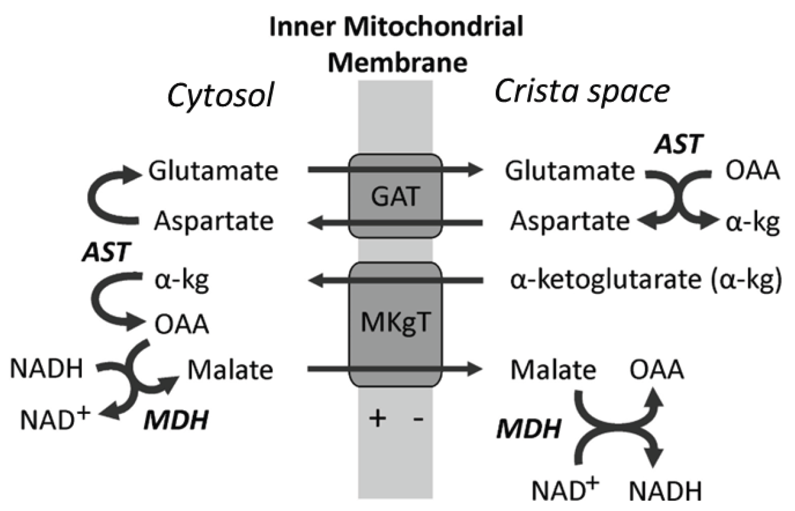 Preprints 194877 g004