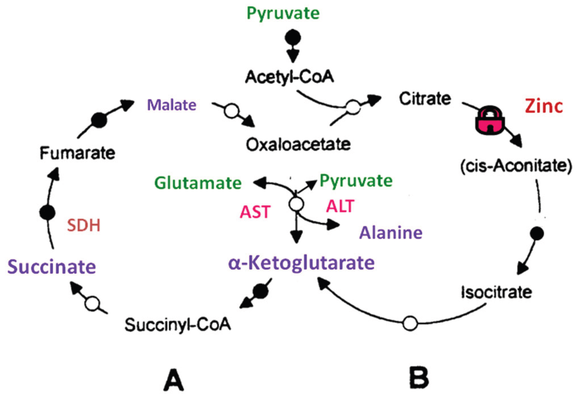 Preprints 194877 g005