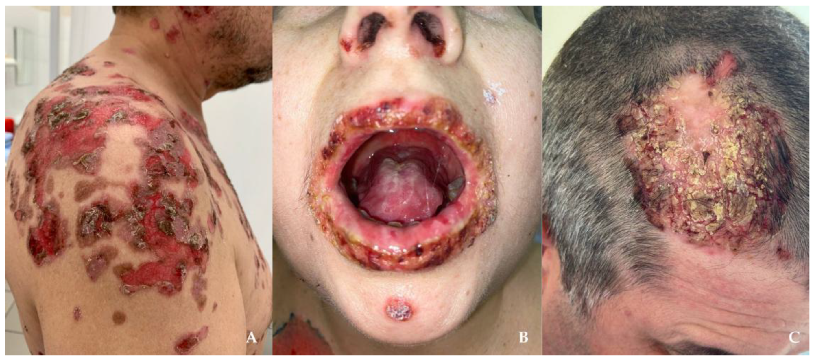 Preprints 175769 g001