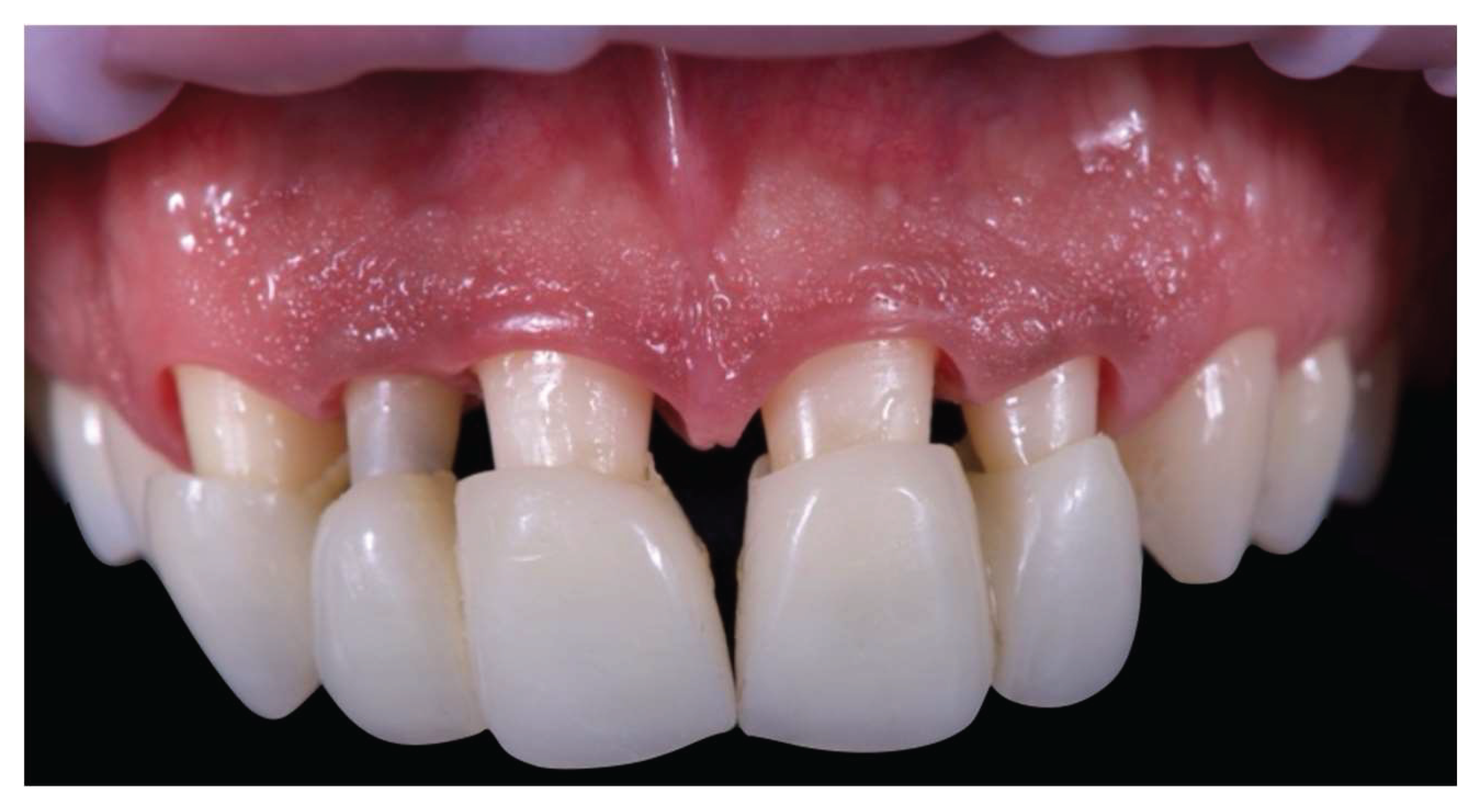 Preprints 162709 g012