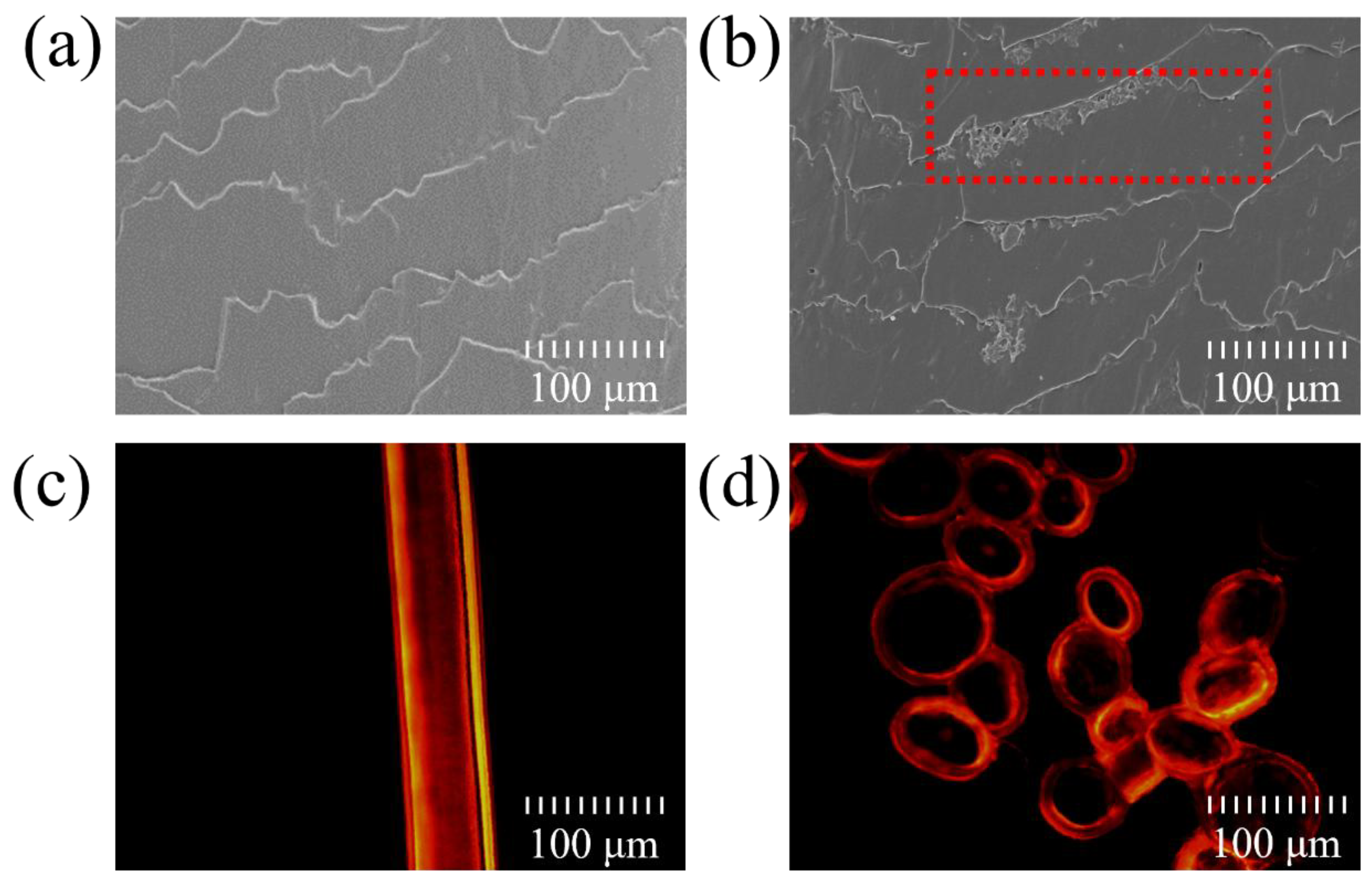 Preprints 148781 g001