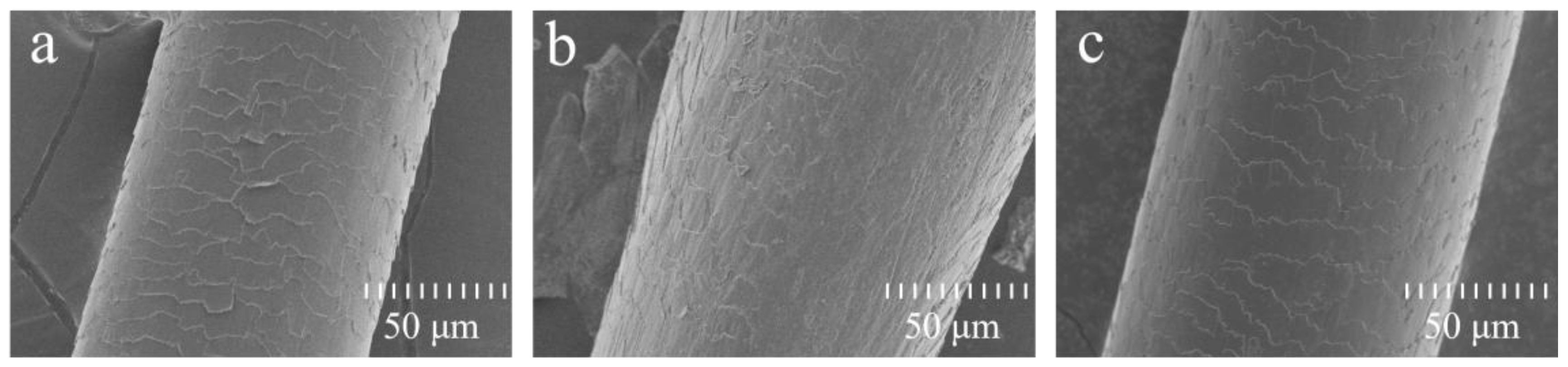 Preprints 148781 g002