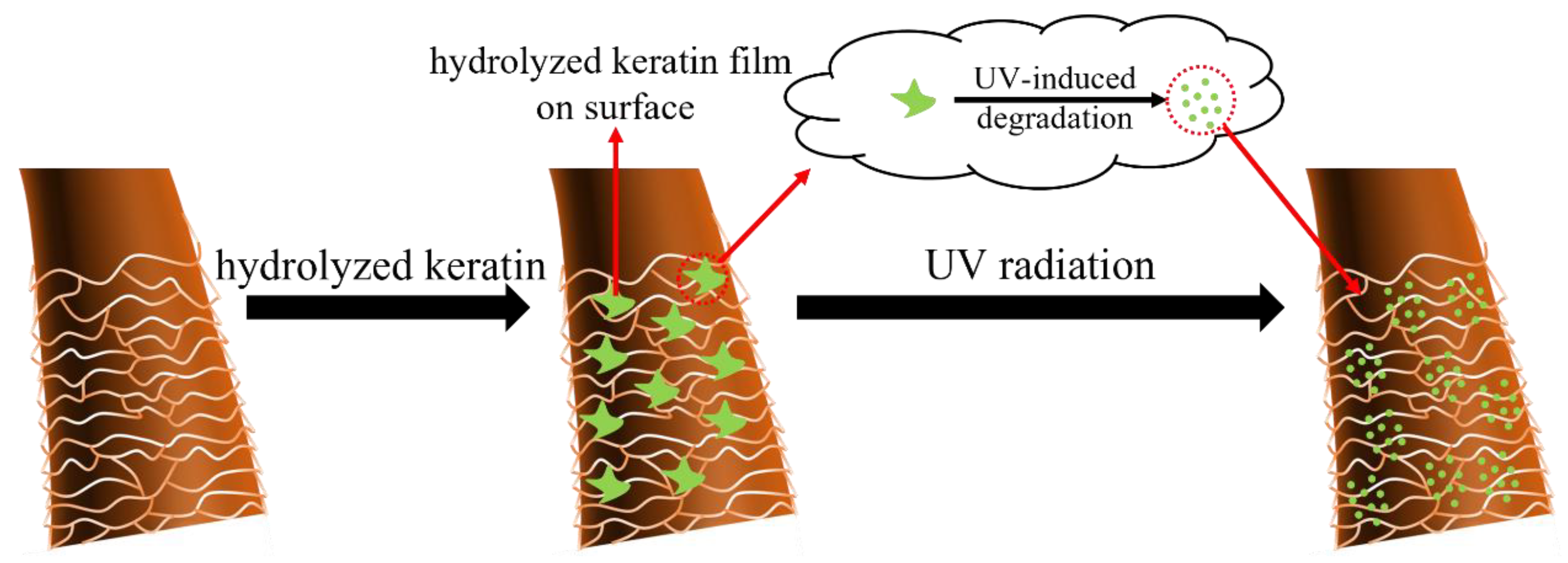 Preprints 148781 g006