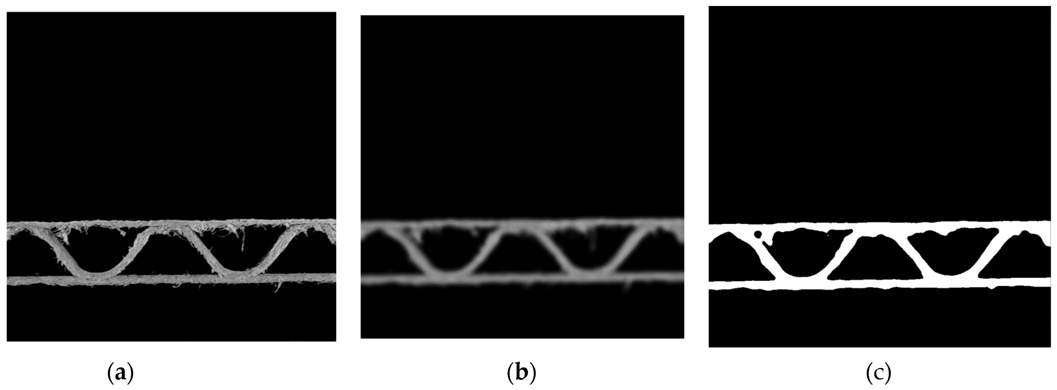 Preprints 73963 g003
