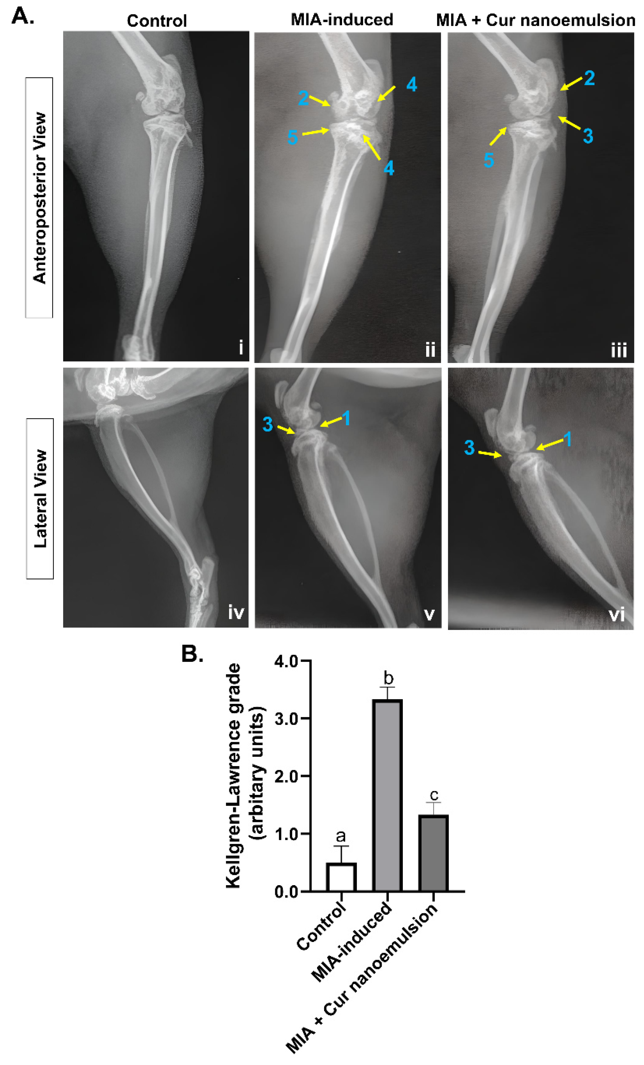 Preprints 180136 g002