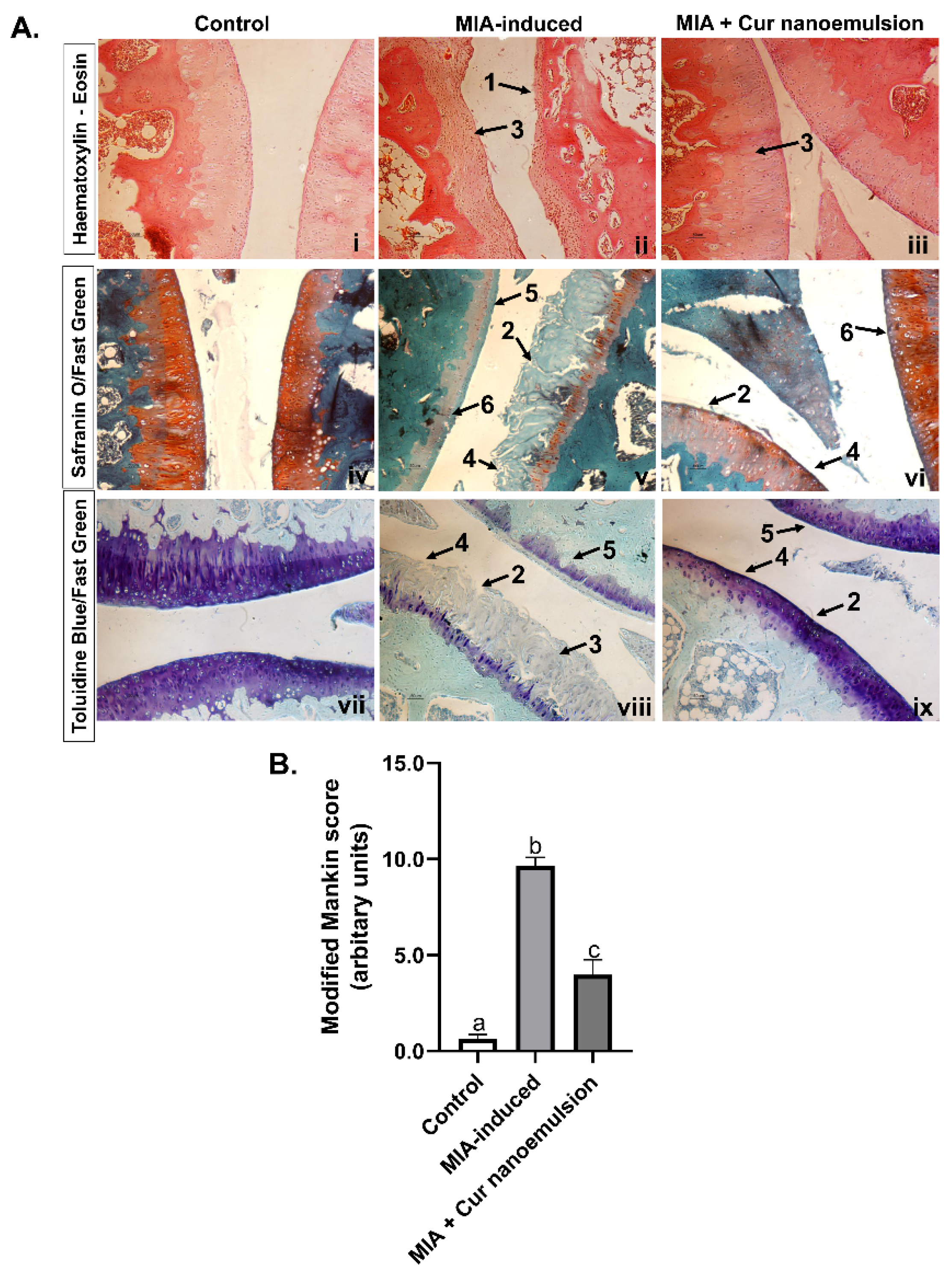 Preprints 180136 g003