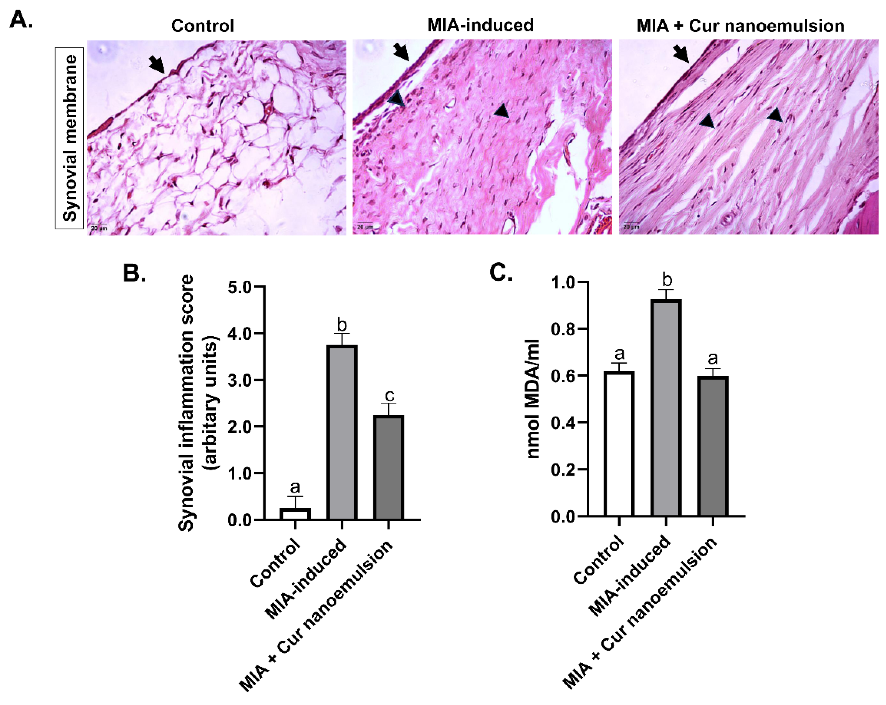 Preprints 180136 g004