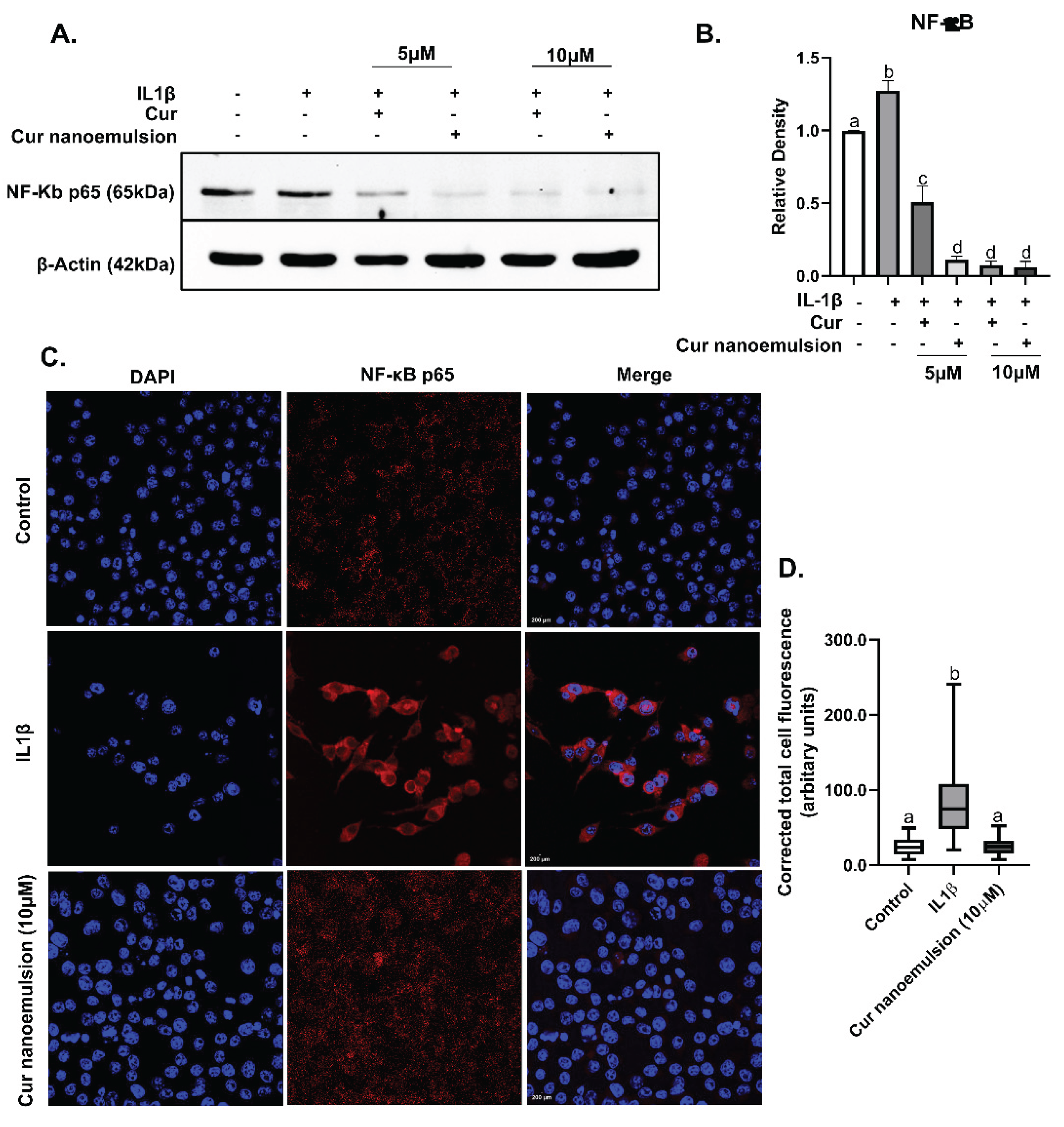Preprints 180136 g006
