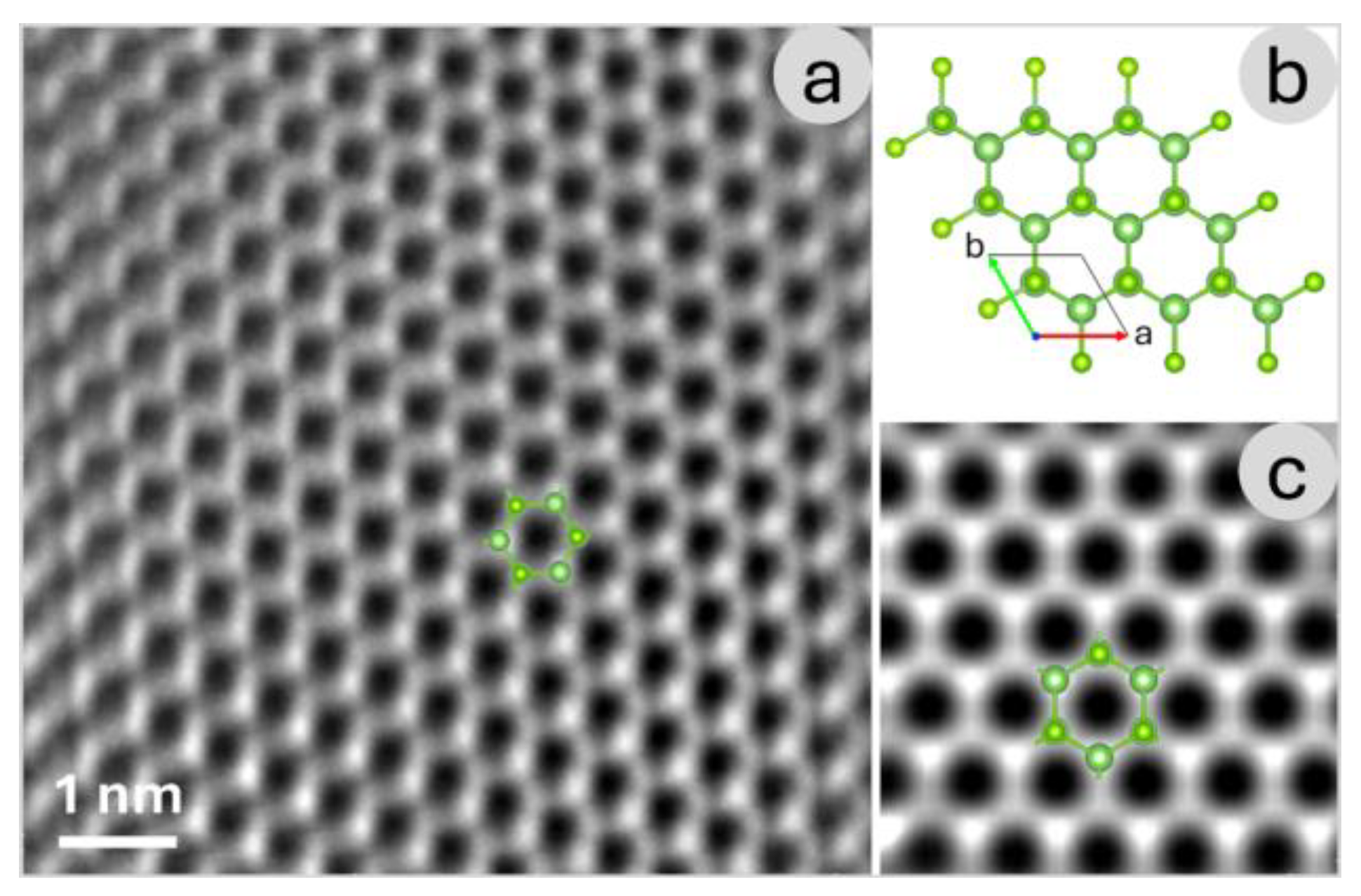 Growth and Atomic-Scale Characterization of 2D Gallium