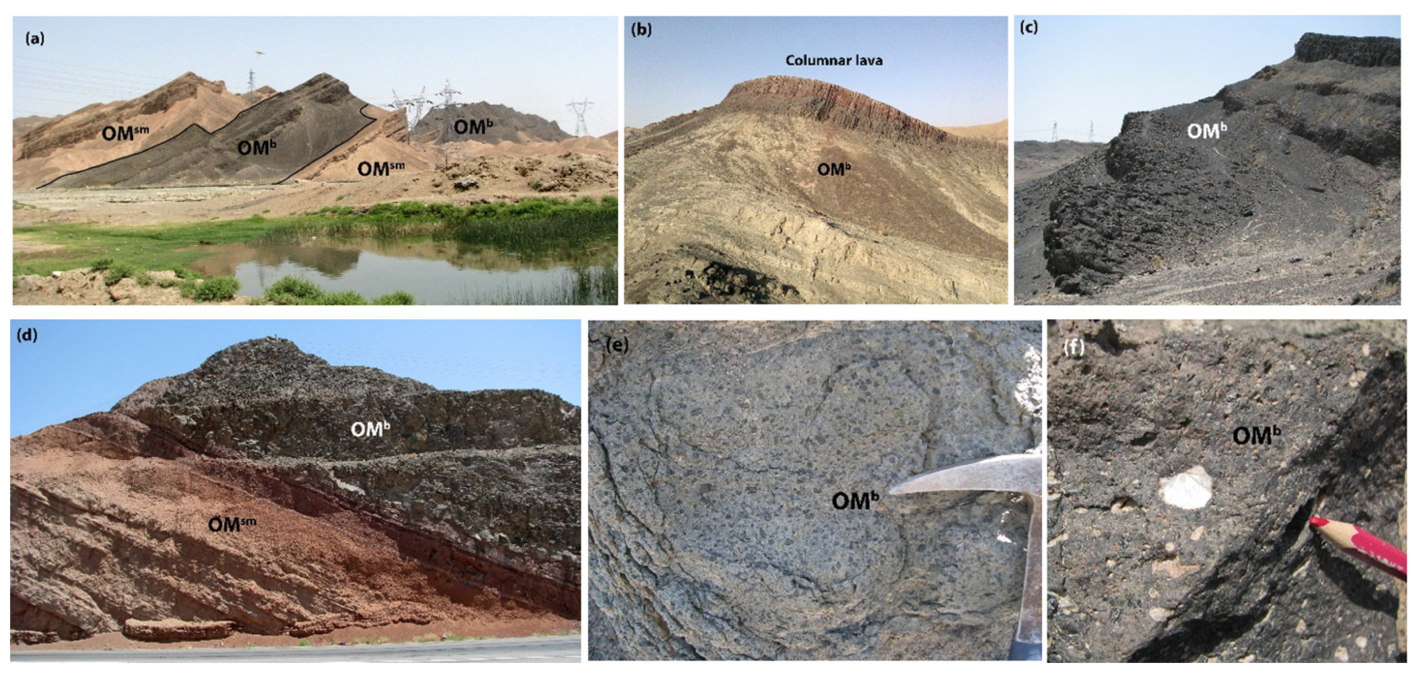 Preprints 156543 g002