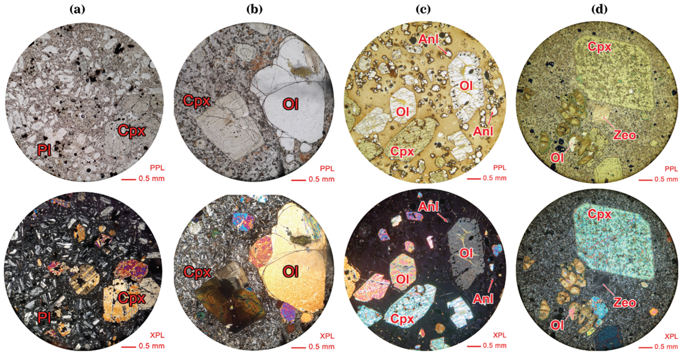 Preprints 156543 g003