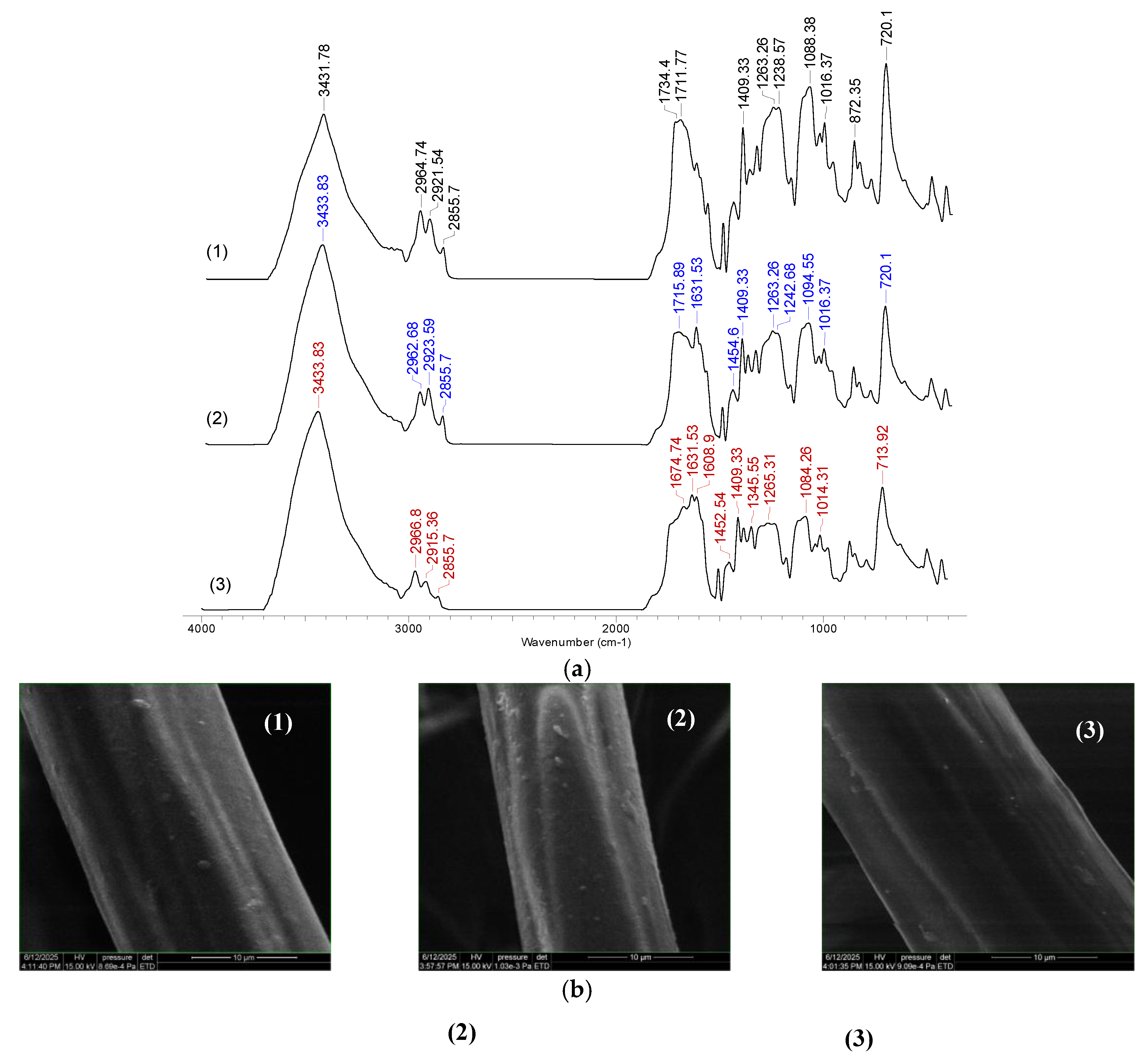 Preprints 165803 g011a