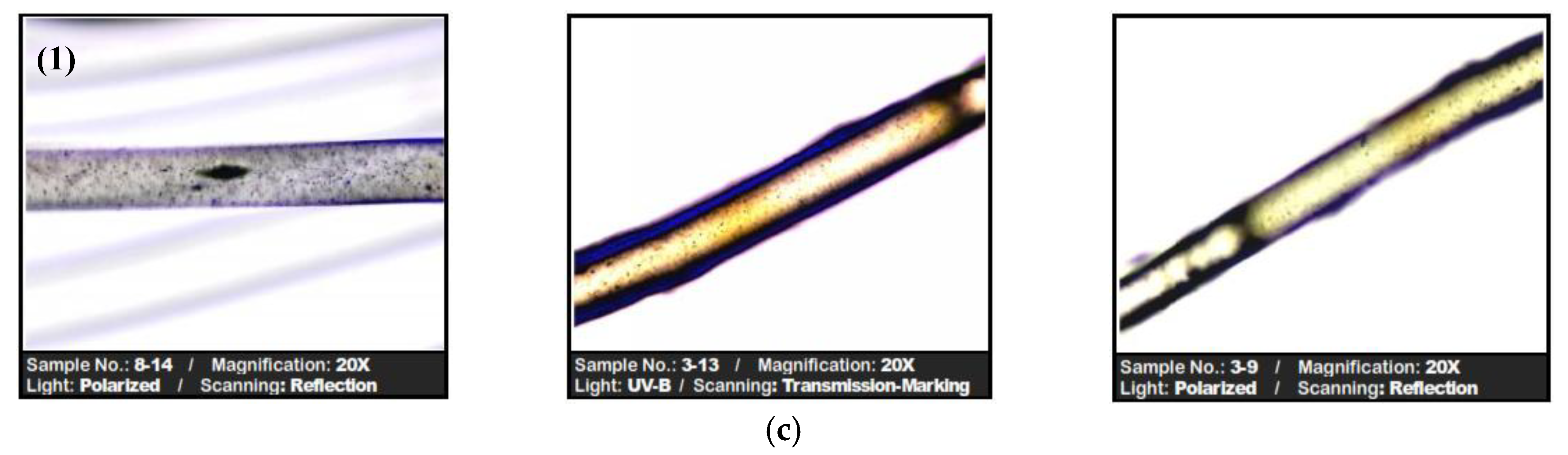 Preprints 165803 g011b