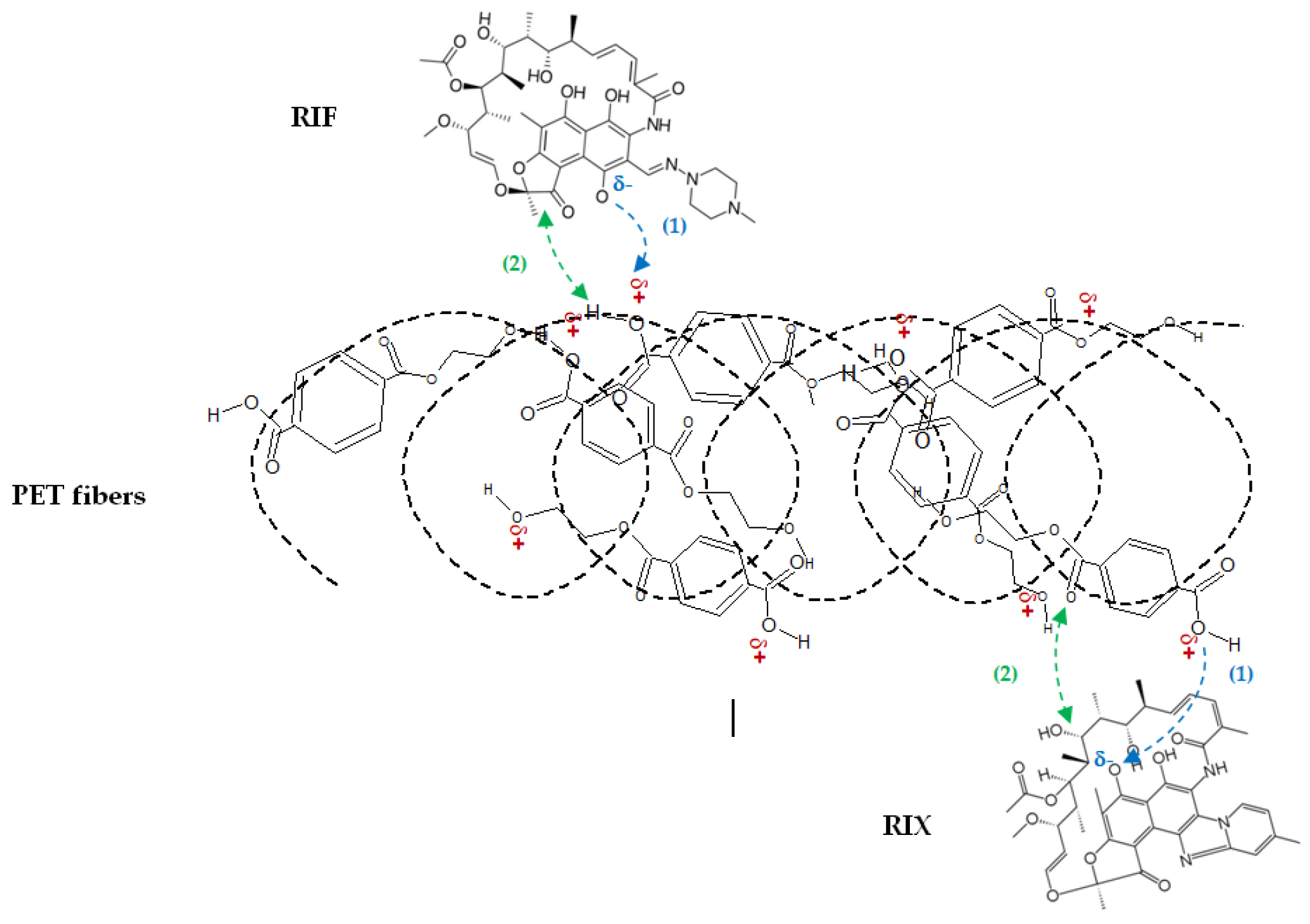 Preprints 165803 g012