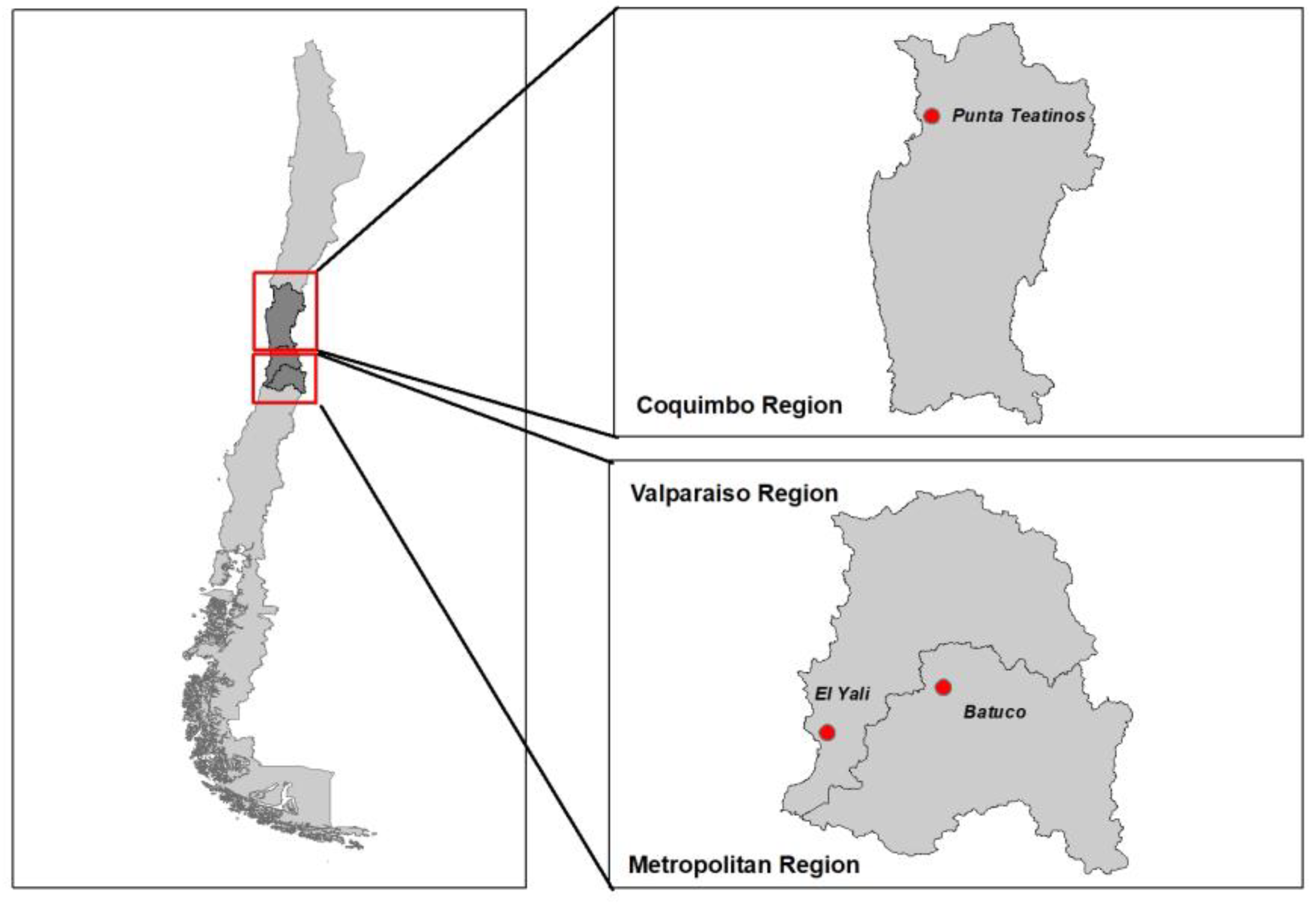 Preprints 167400 g001