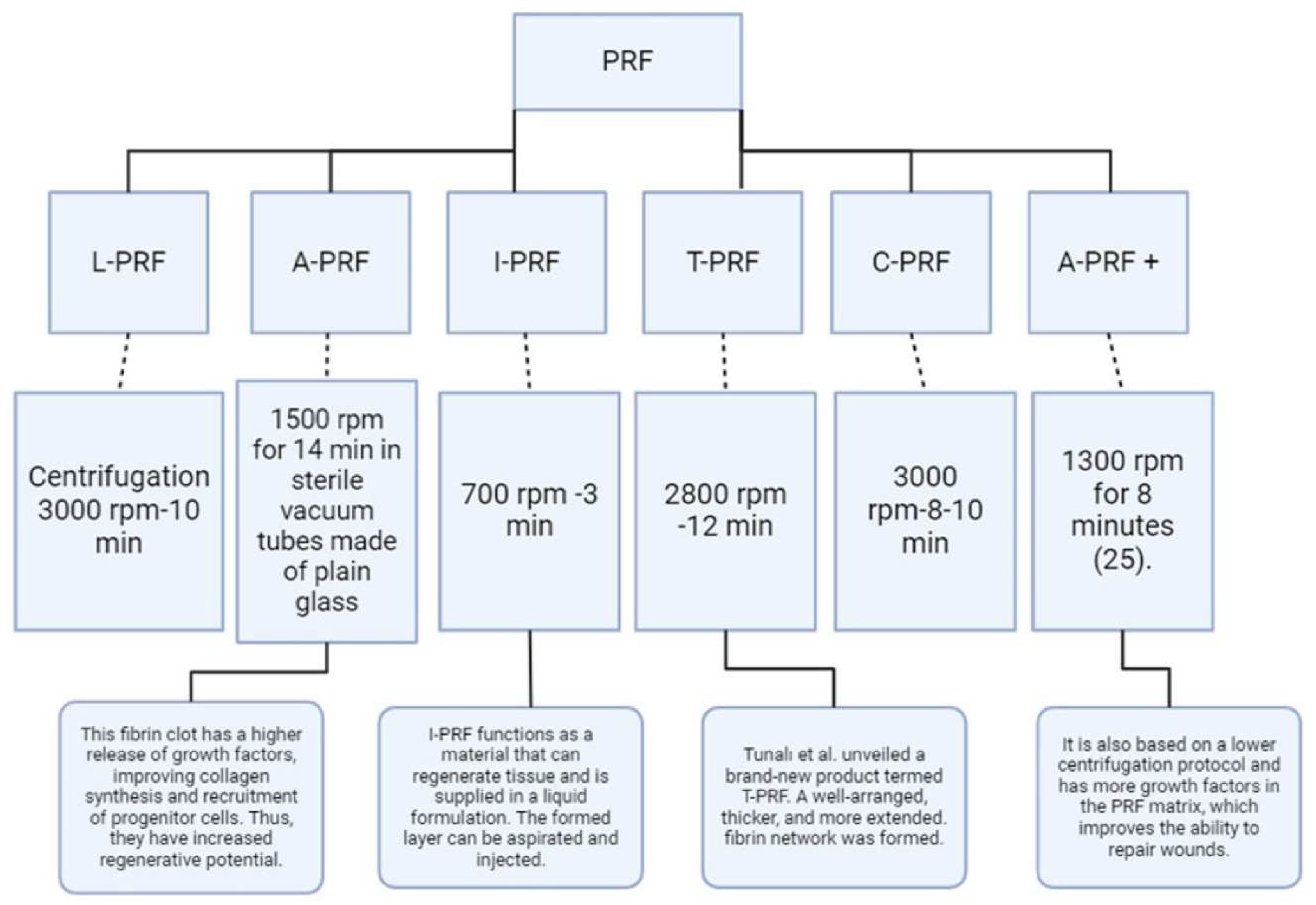 Preprints 146022 g001