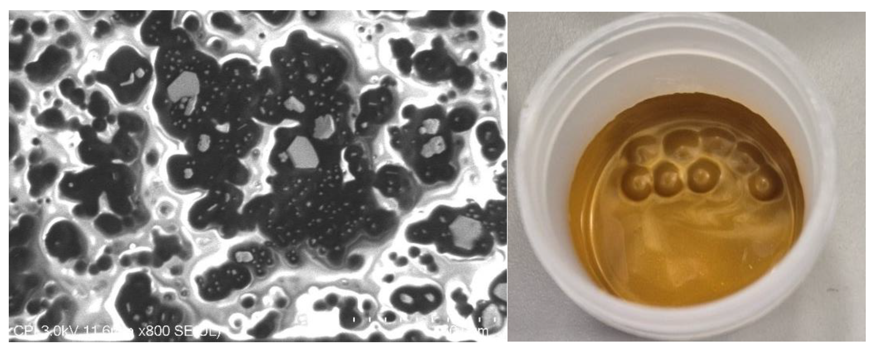 Preprints 185549 g008