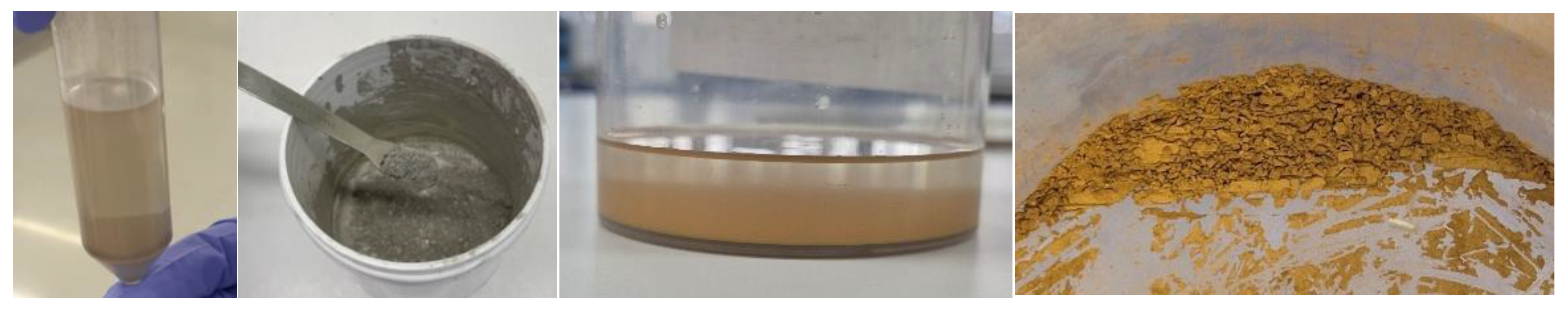 Preprints 185549 g010